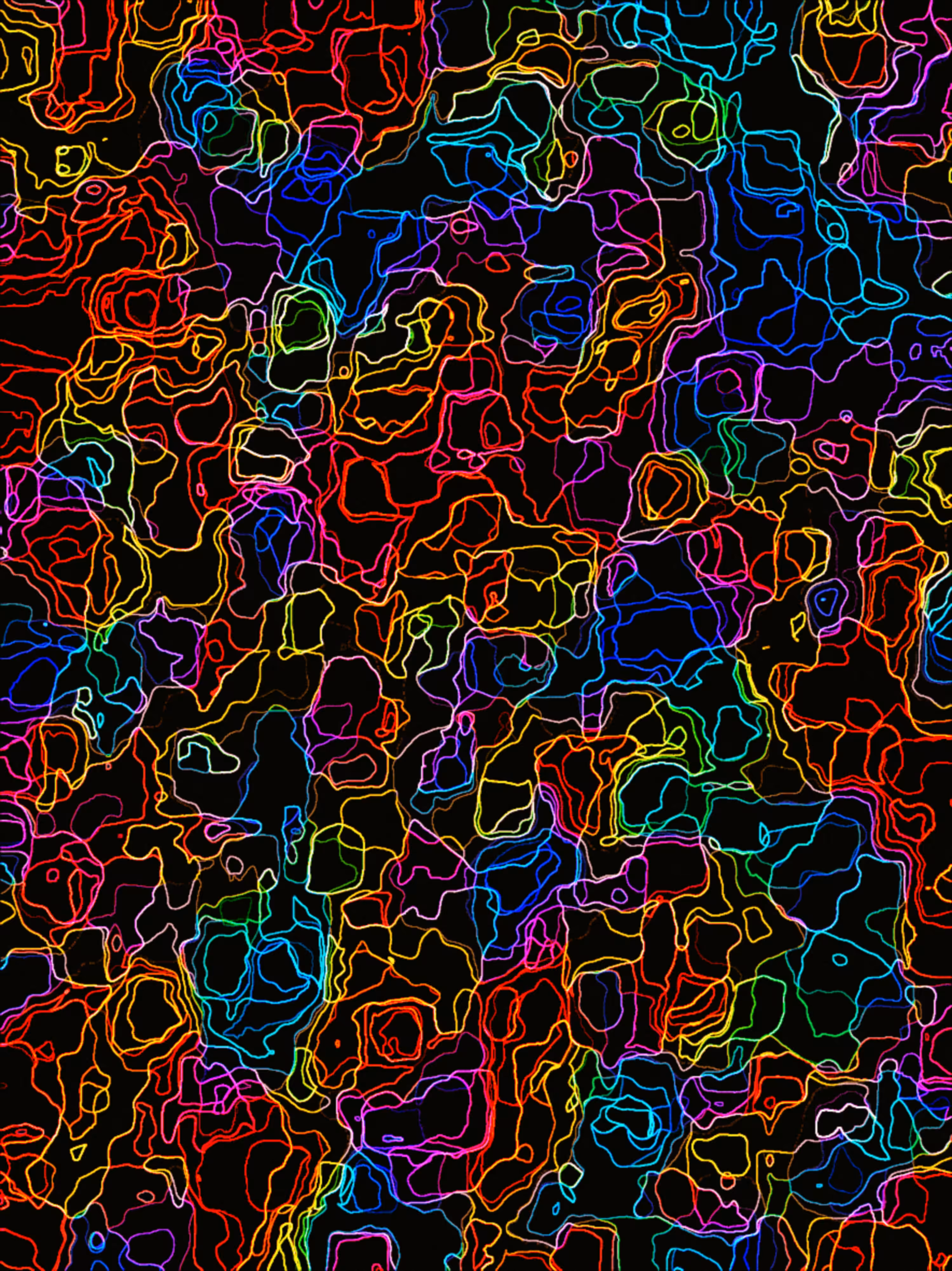Neon Cartography