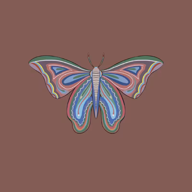 The Moth Experiment 2.0 P2 #6