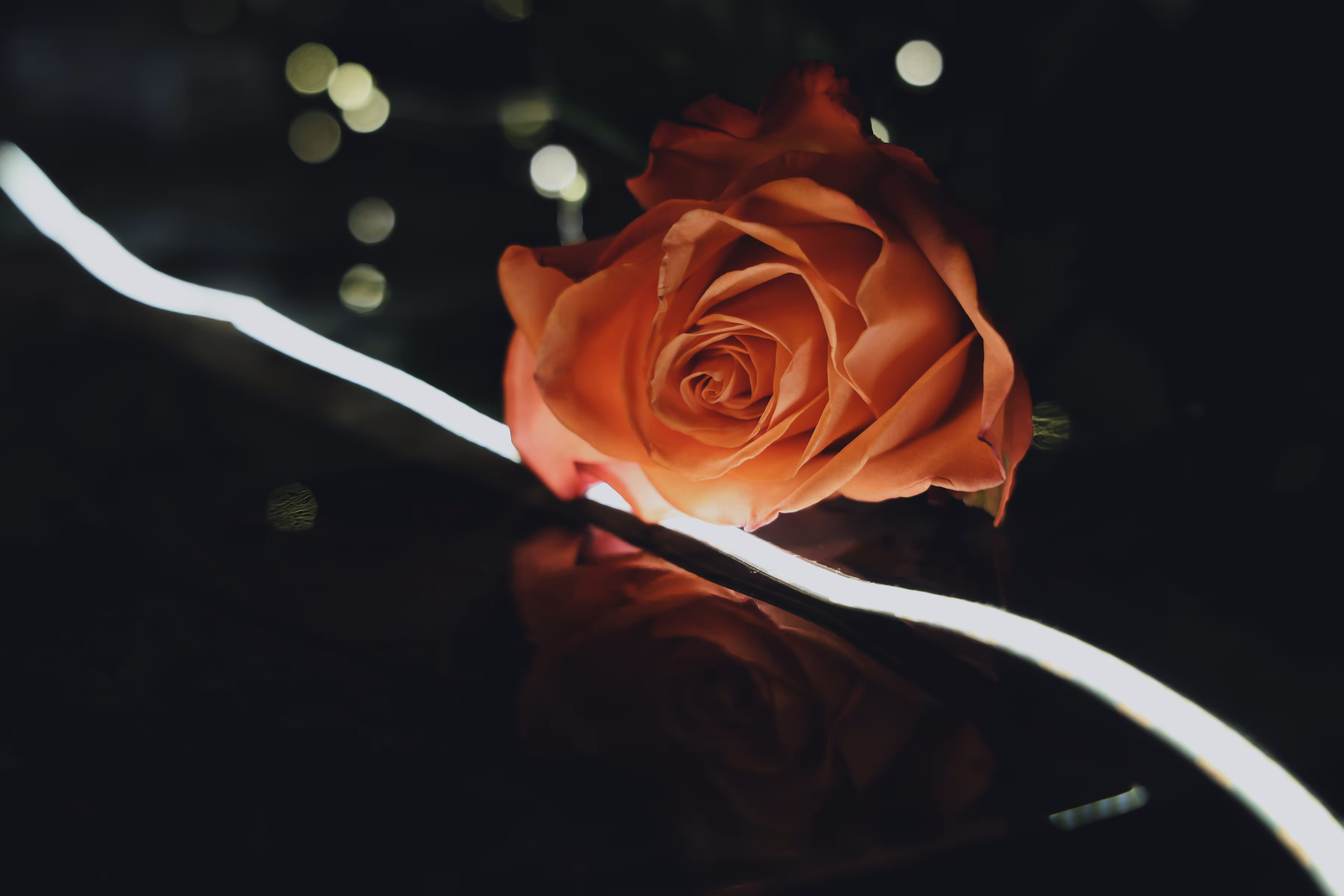 _poetic conversations