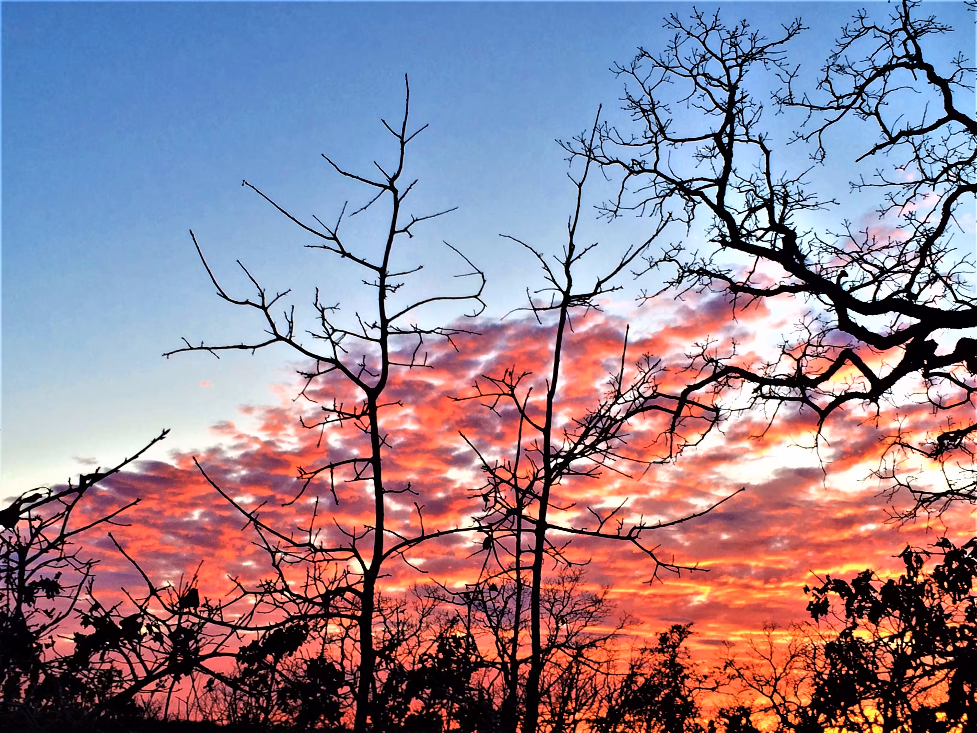 Ethereal Transitions