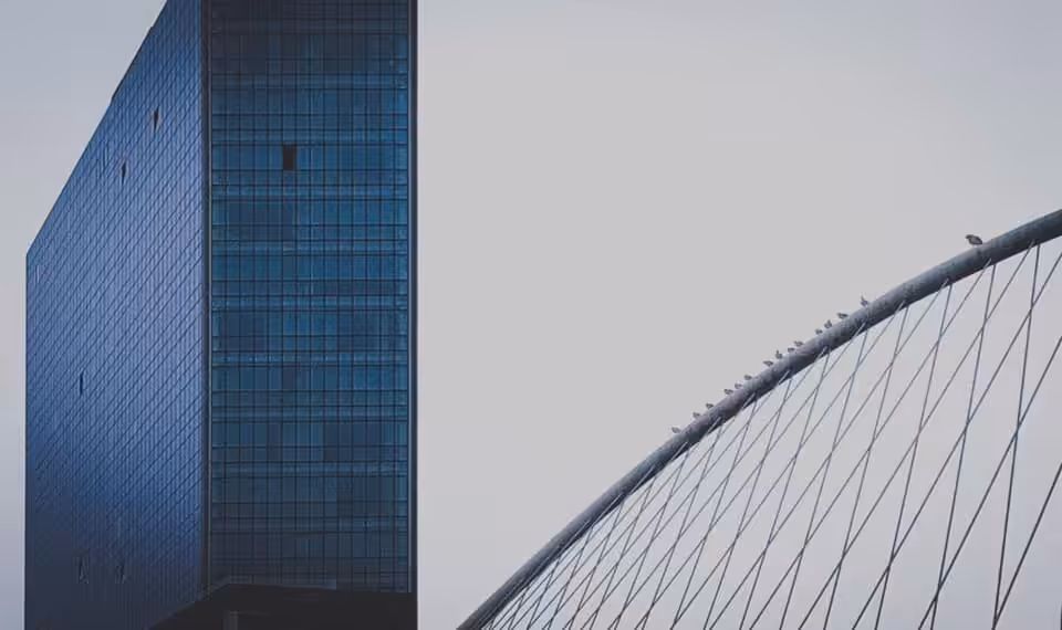 BORJAMOSKVPICS: Metropolitan birds