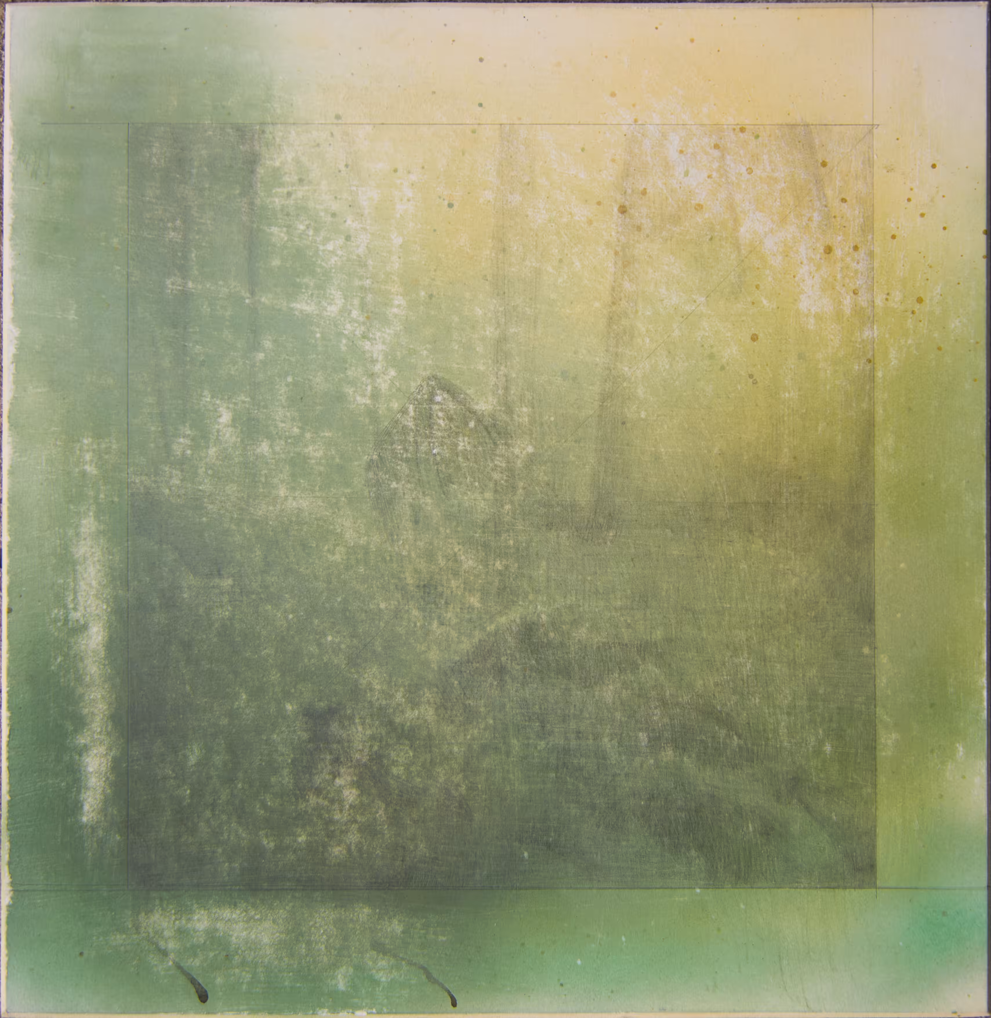 Uninhabited Jungle, with yellow and green