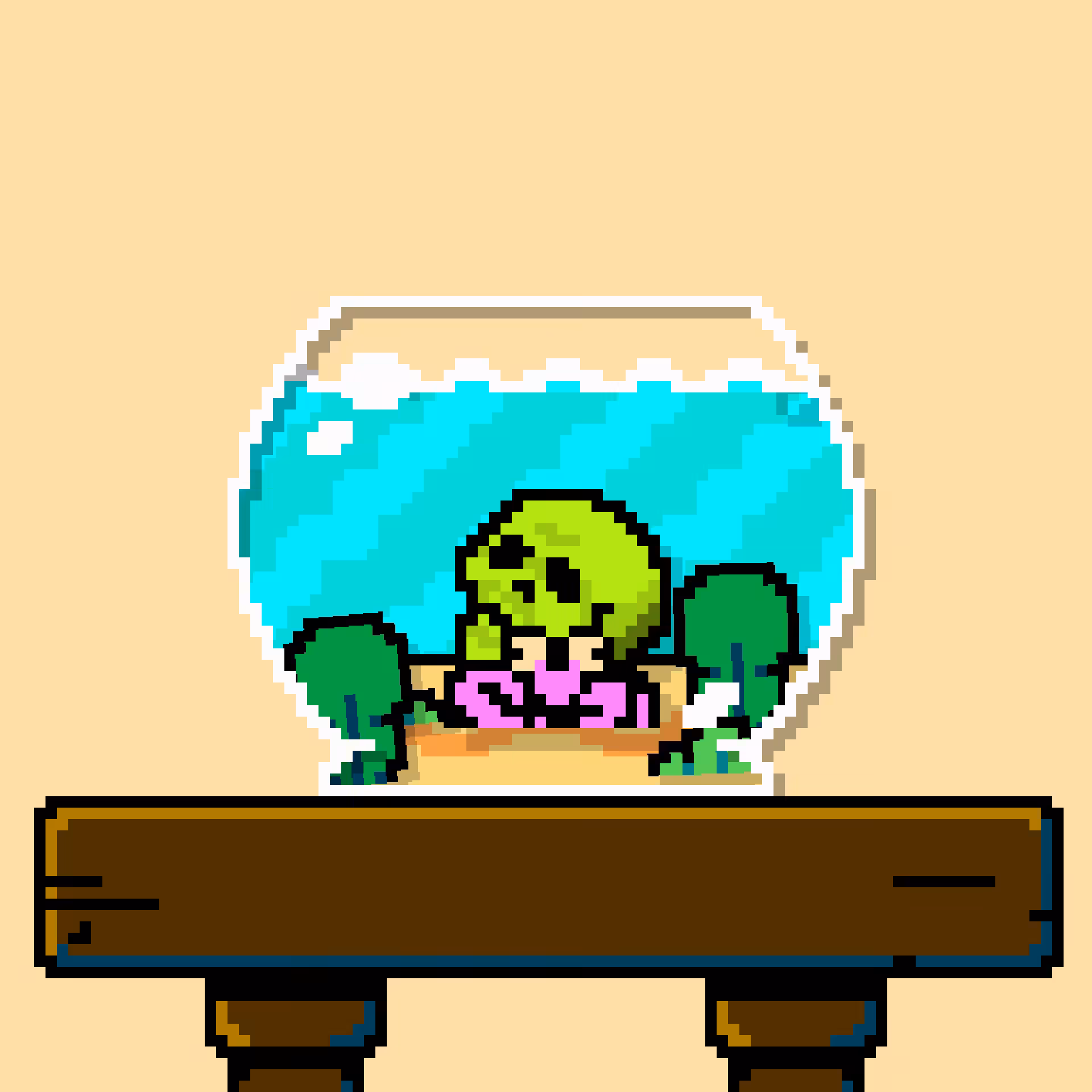 hermit crab #57