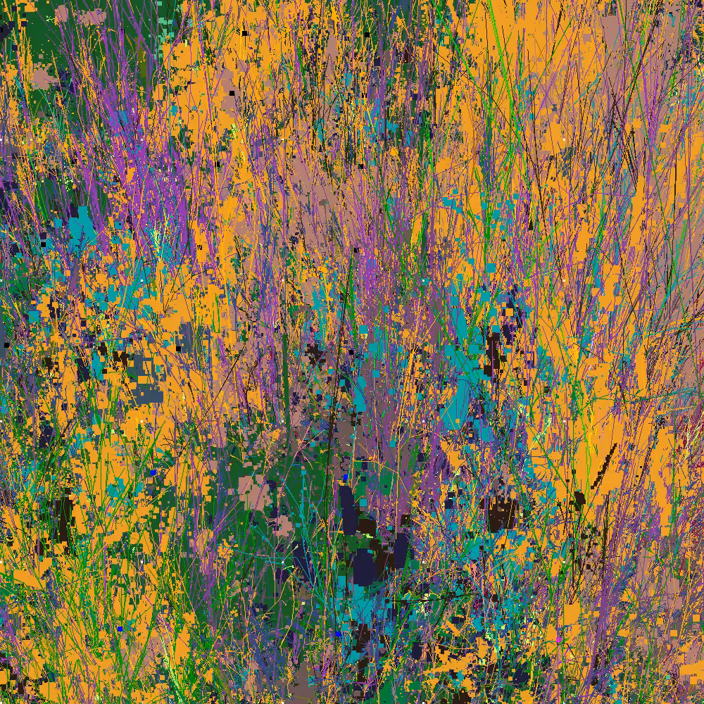 Infinite Garden: 202401 Flowers