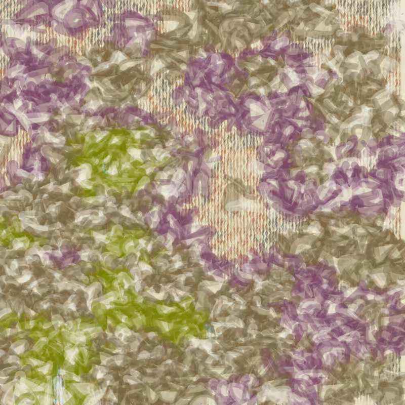 Petri 1500 #678