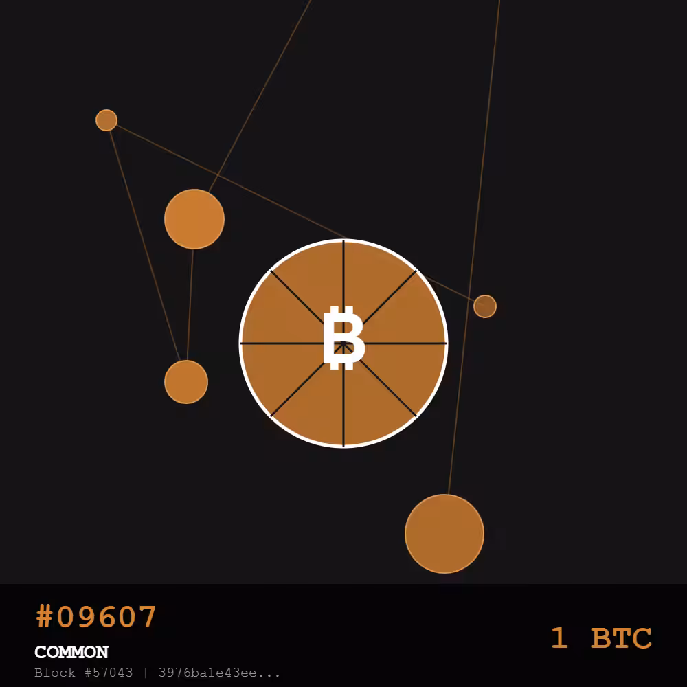 🍕Bitcoin Pizza Genesis: 10K — COMMON Edition | May 22, 2010 - The Day Everything Changed