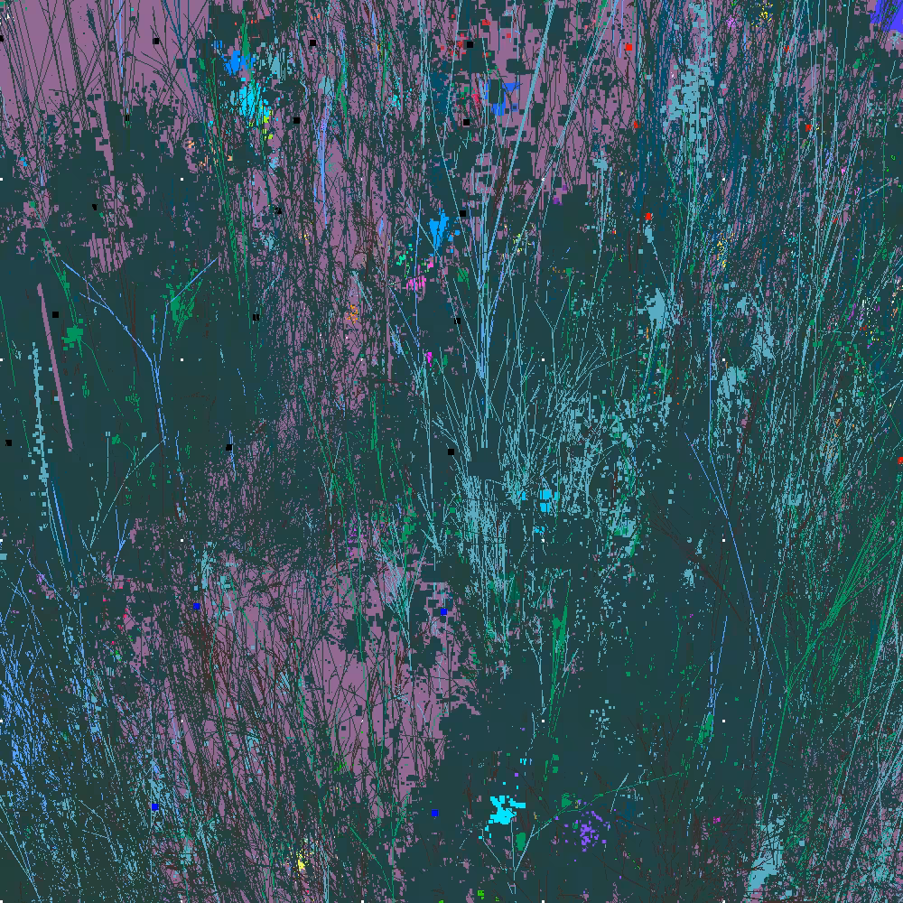 Infinite Garden: 77411 Flowers