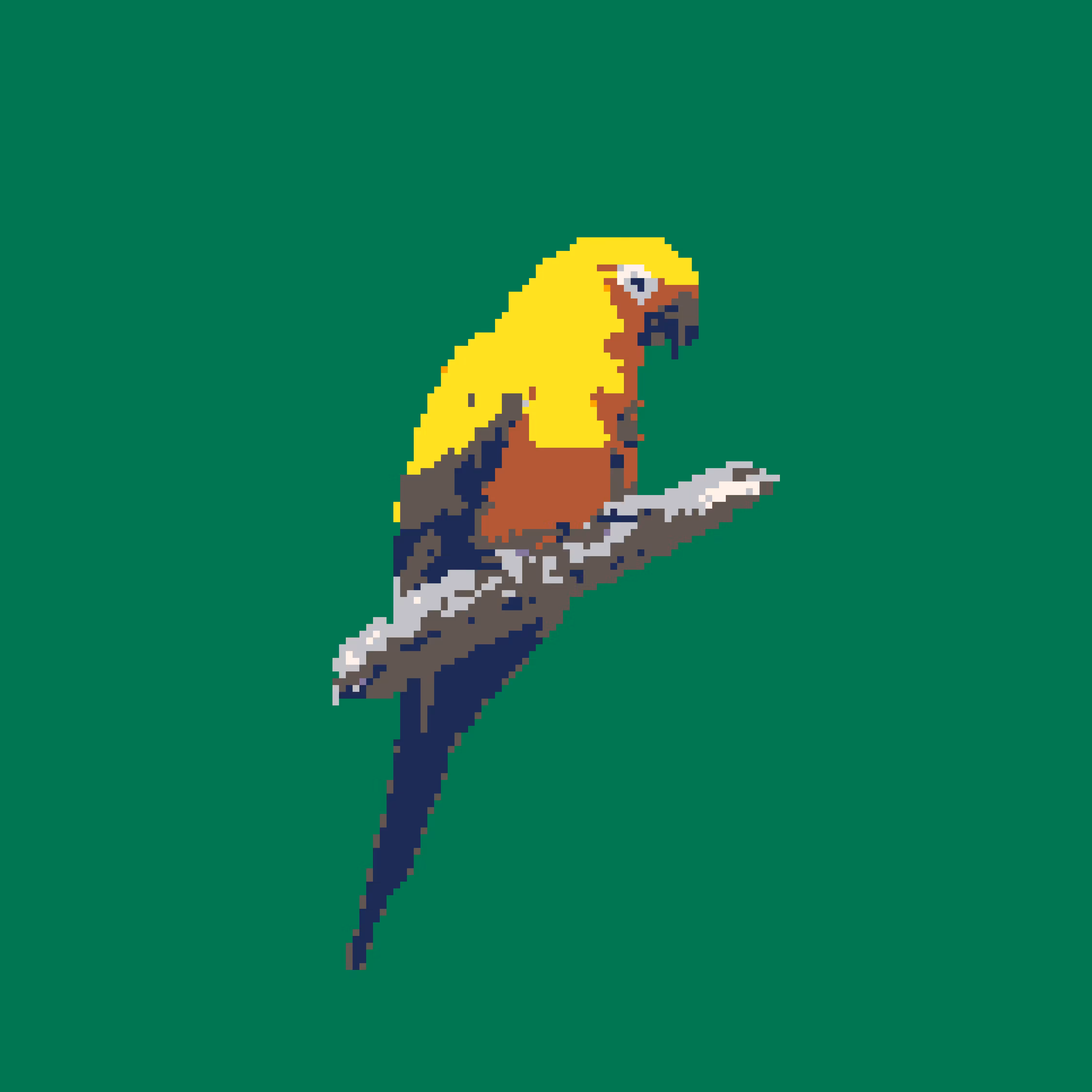 parrot
