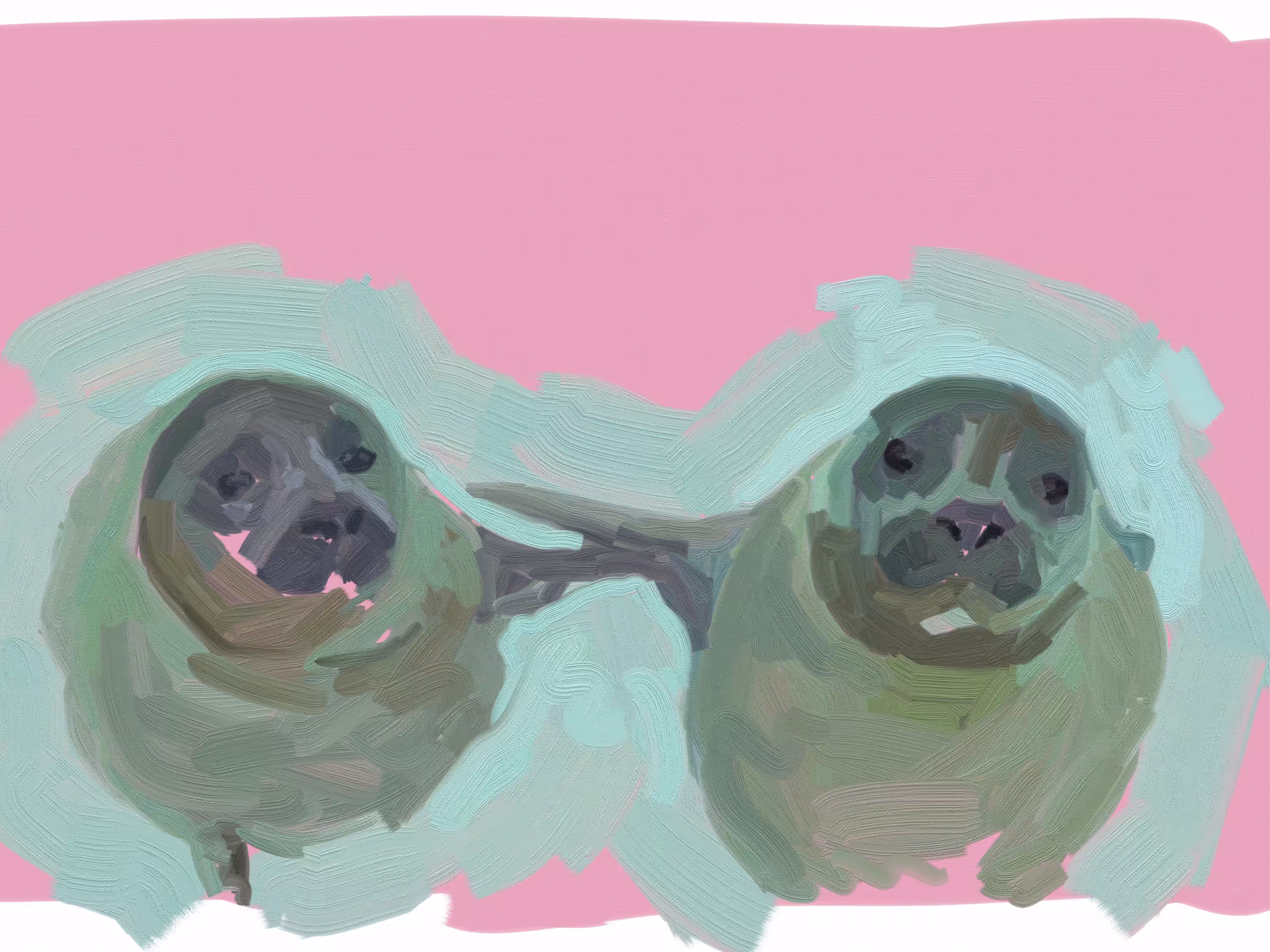 cuties 