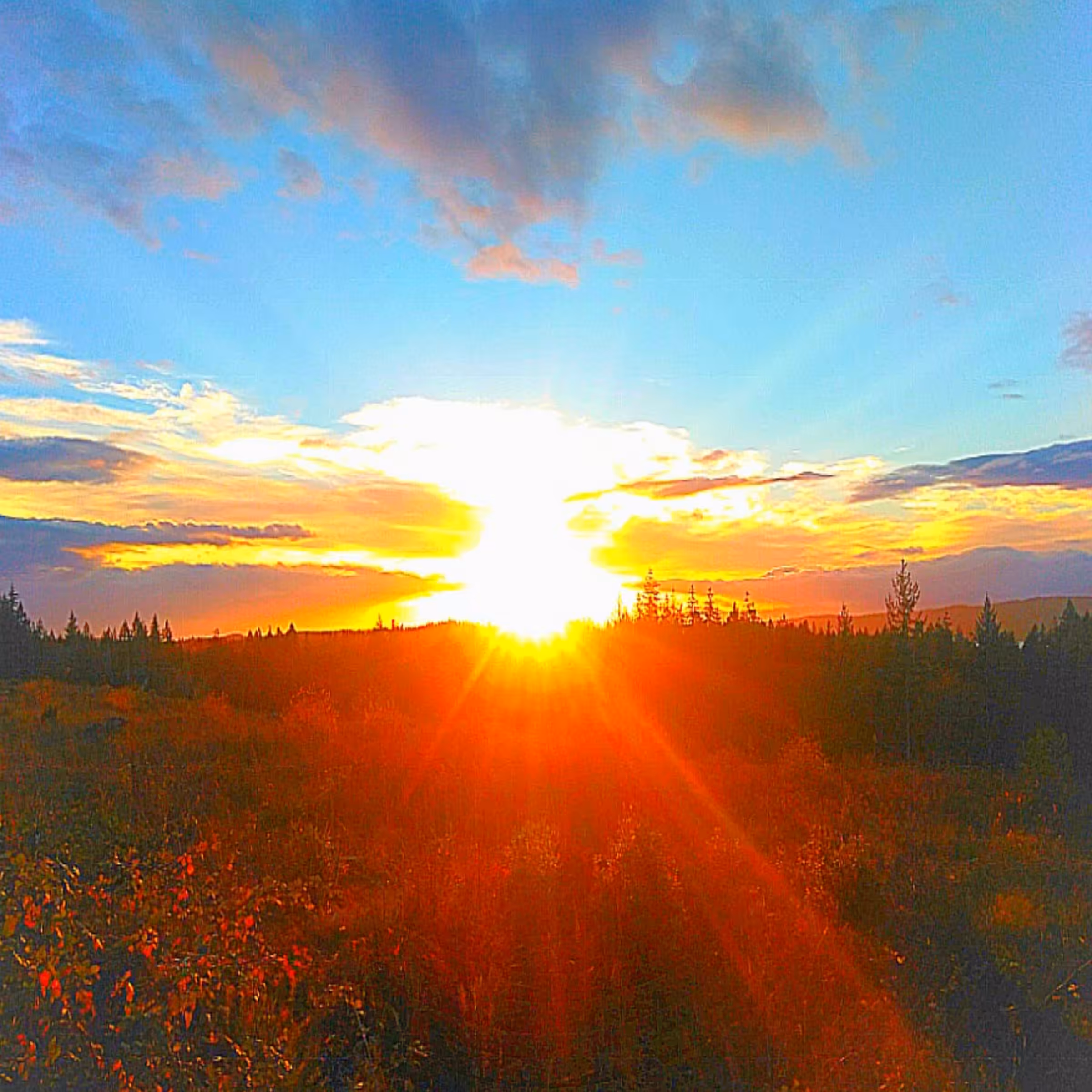 Edited Landscape #3