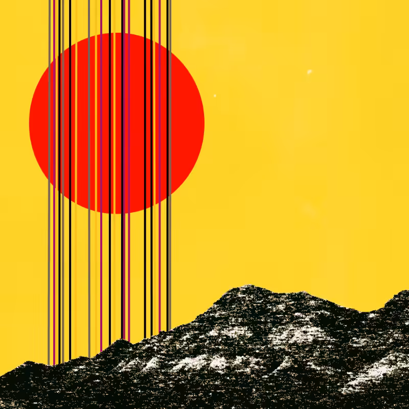 collage #1  from nature #14
