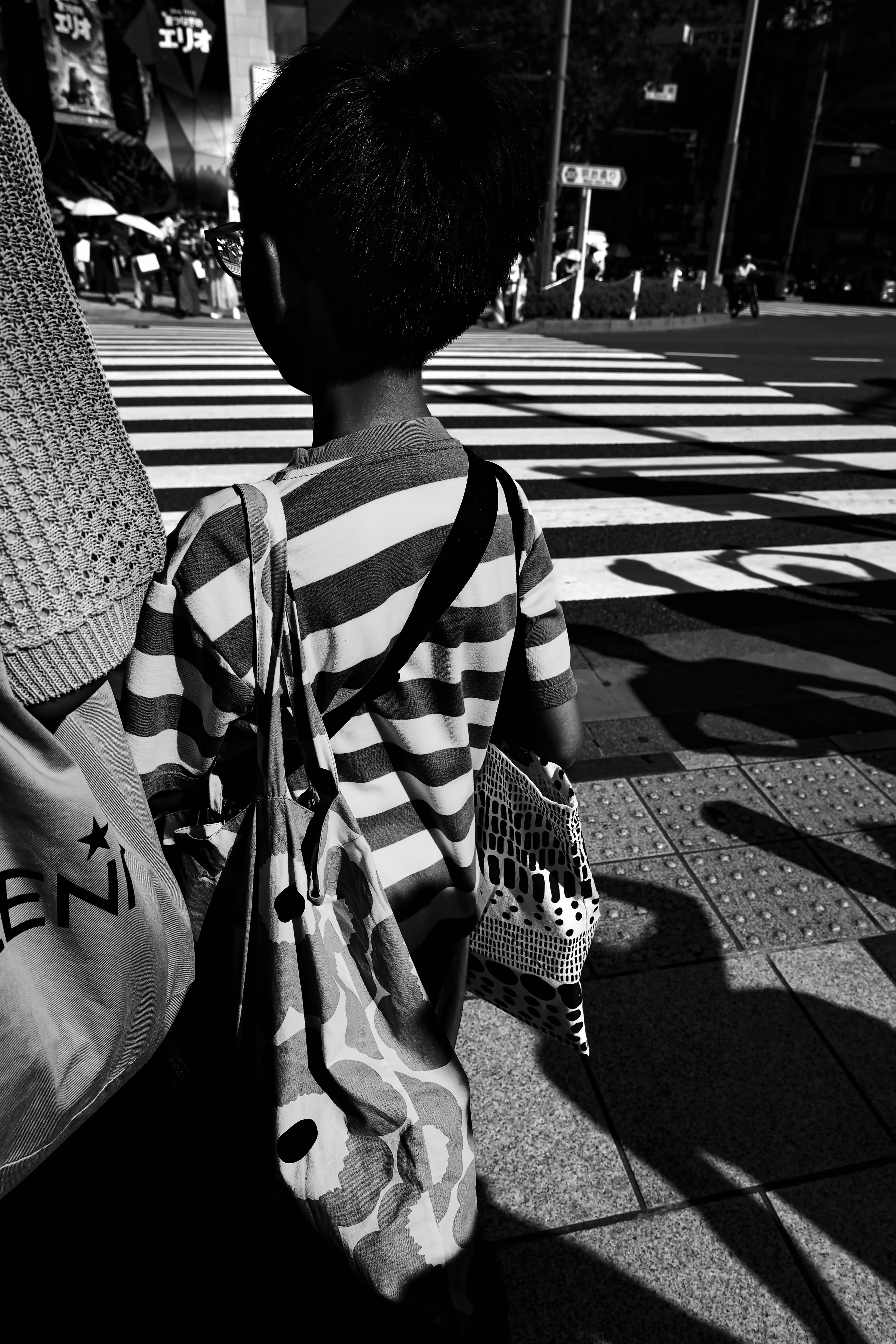 LINES OF THE CITY