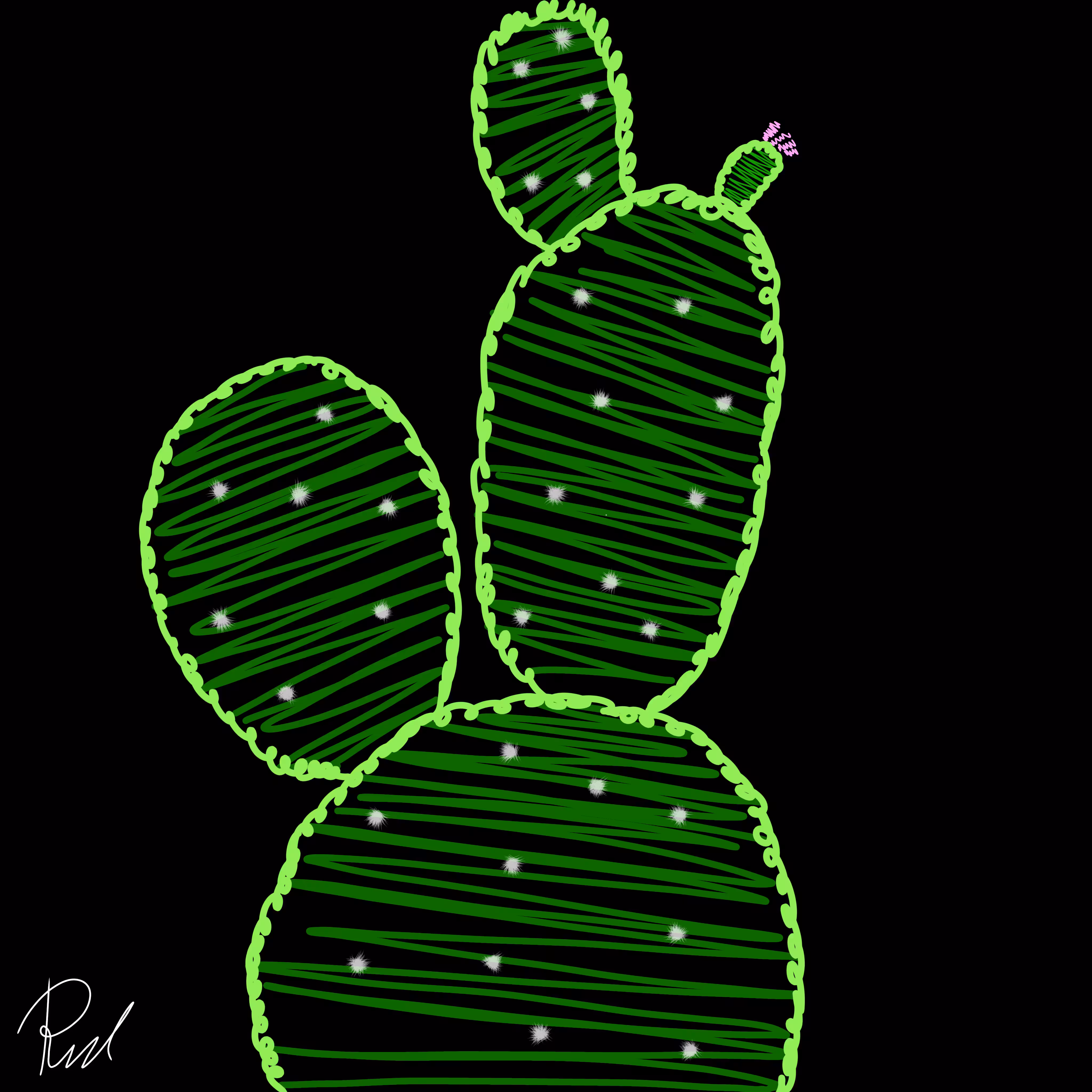 Silent Cactus