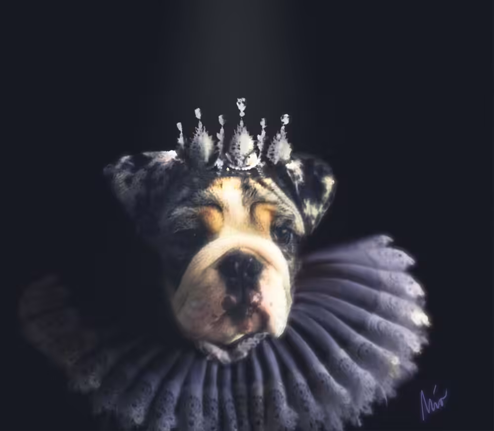 Royal NFT Dogs