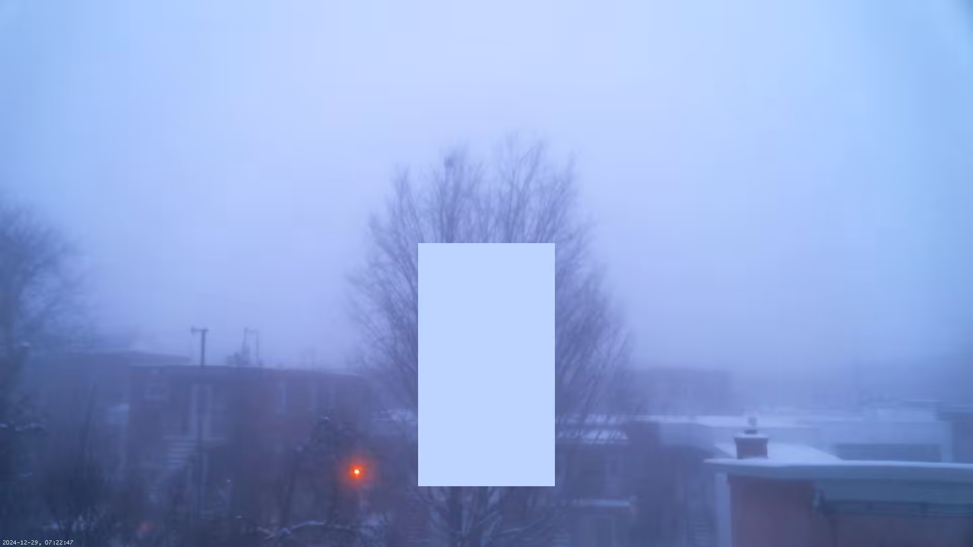 lavender blue