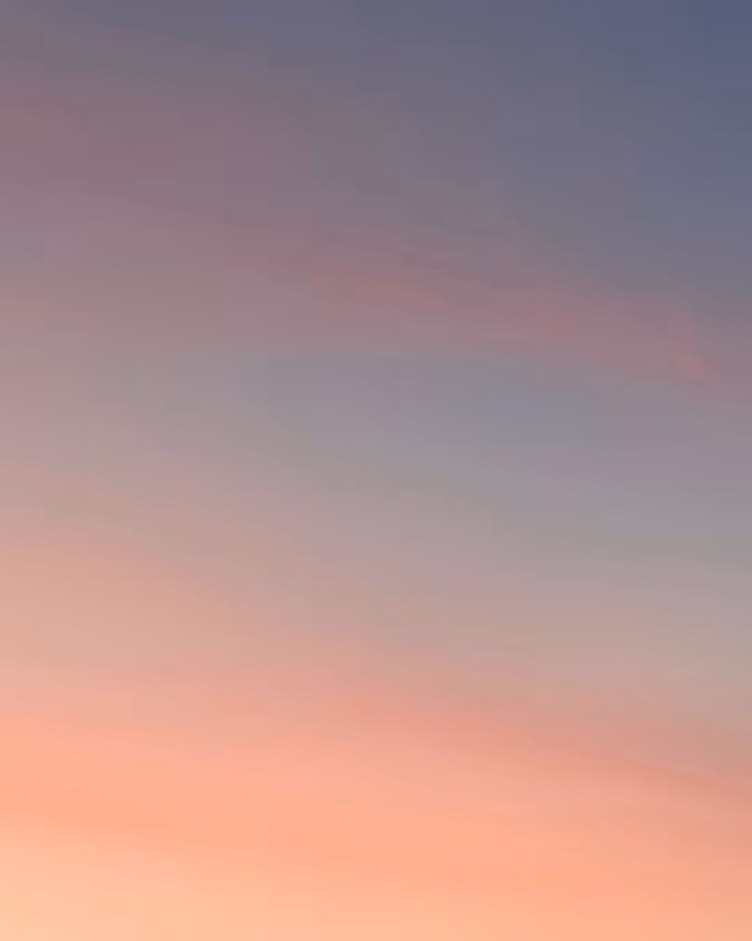 Rosè