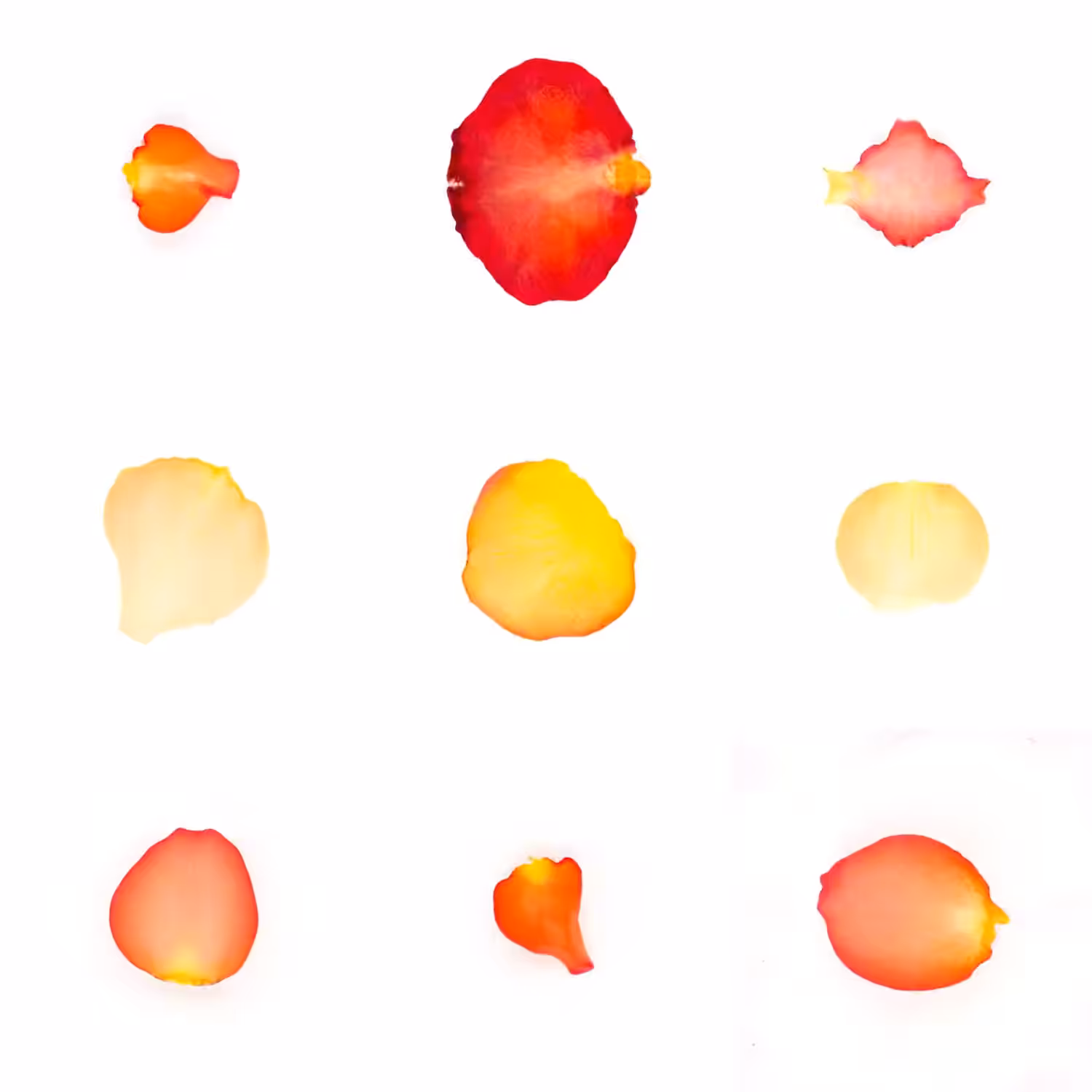 Infinite Petals 3x3#3225