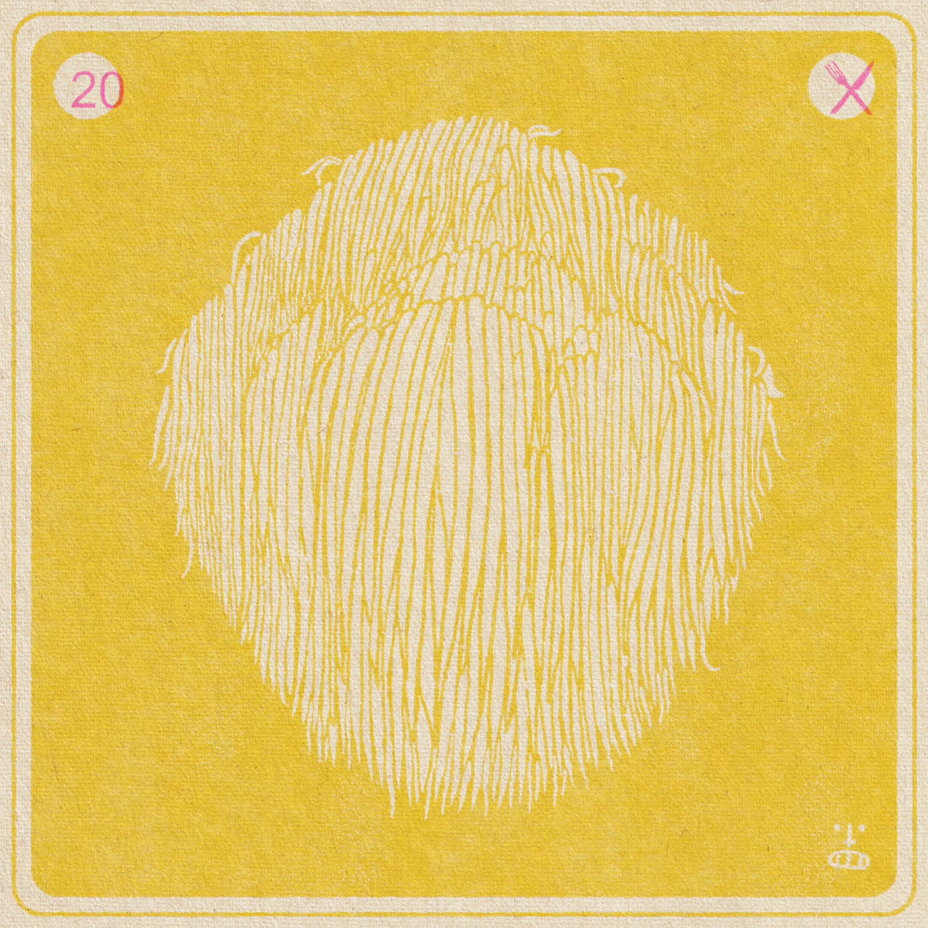 20- Hericium erinaceus (Lion's mane)