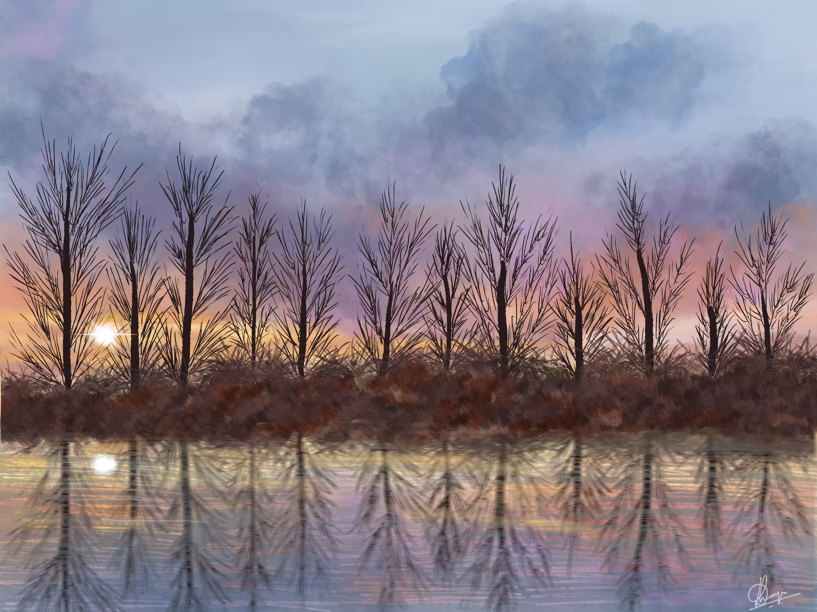 Reflection
