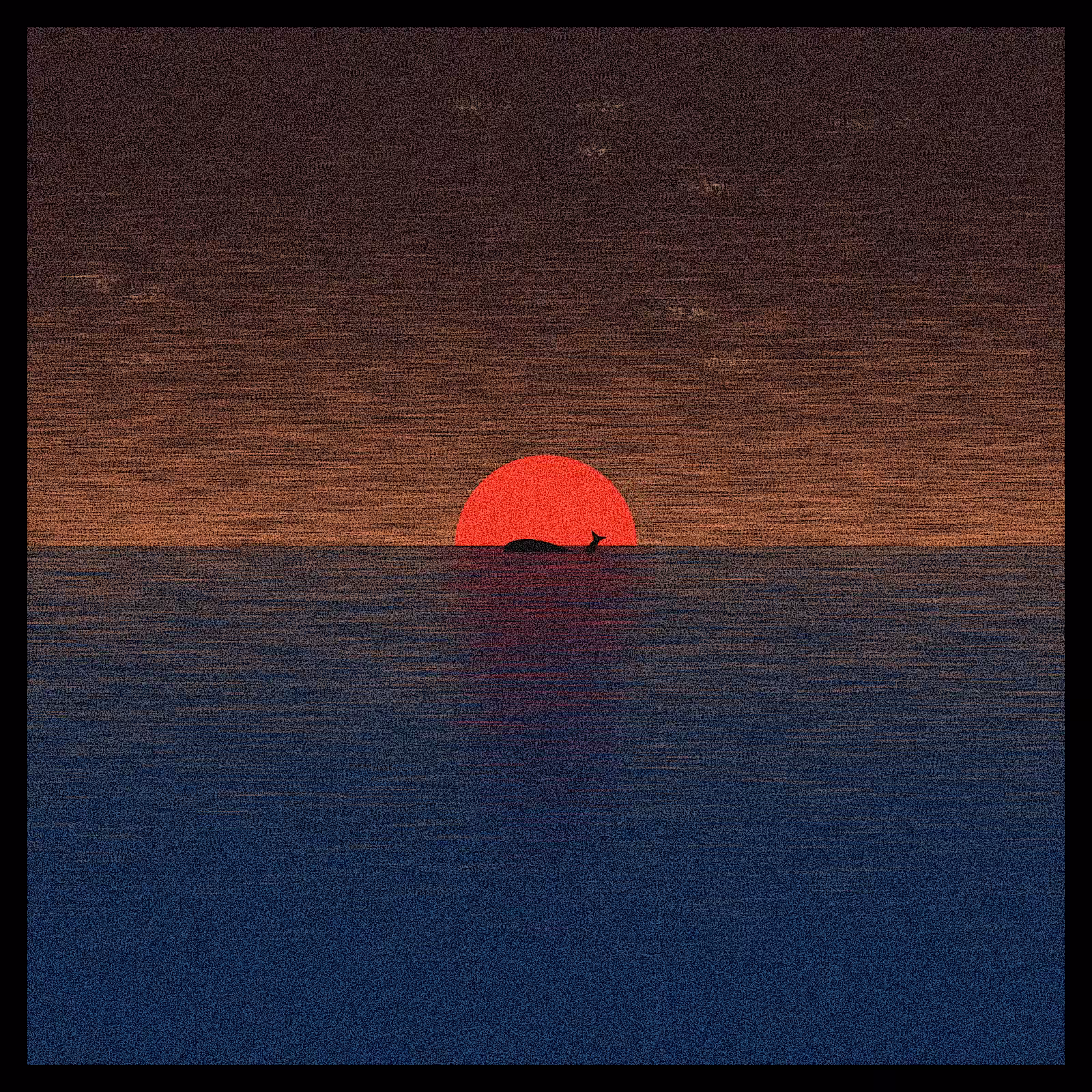 sunrise sunset #31