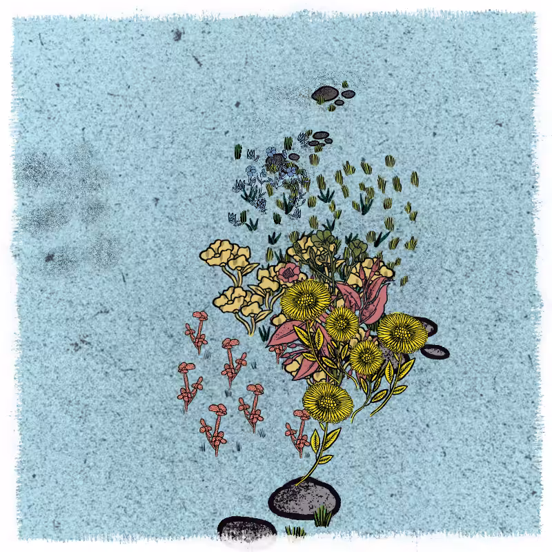 Gardens  #153