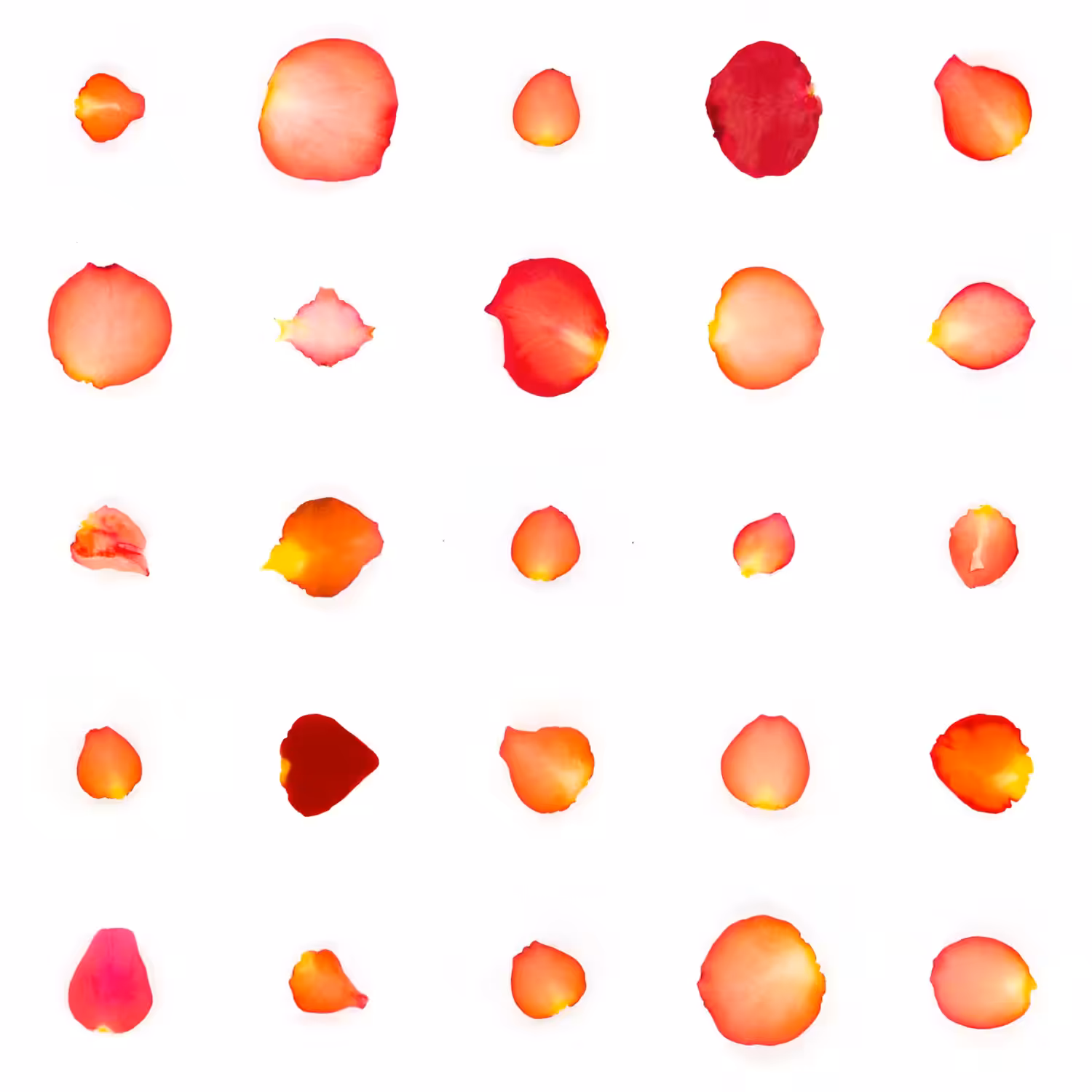 Infinite Petals 5x5#20247