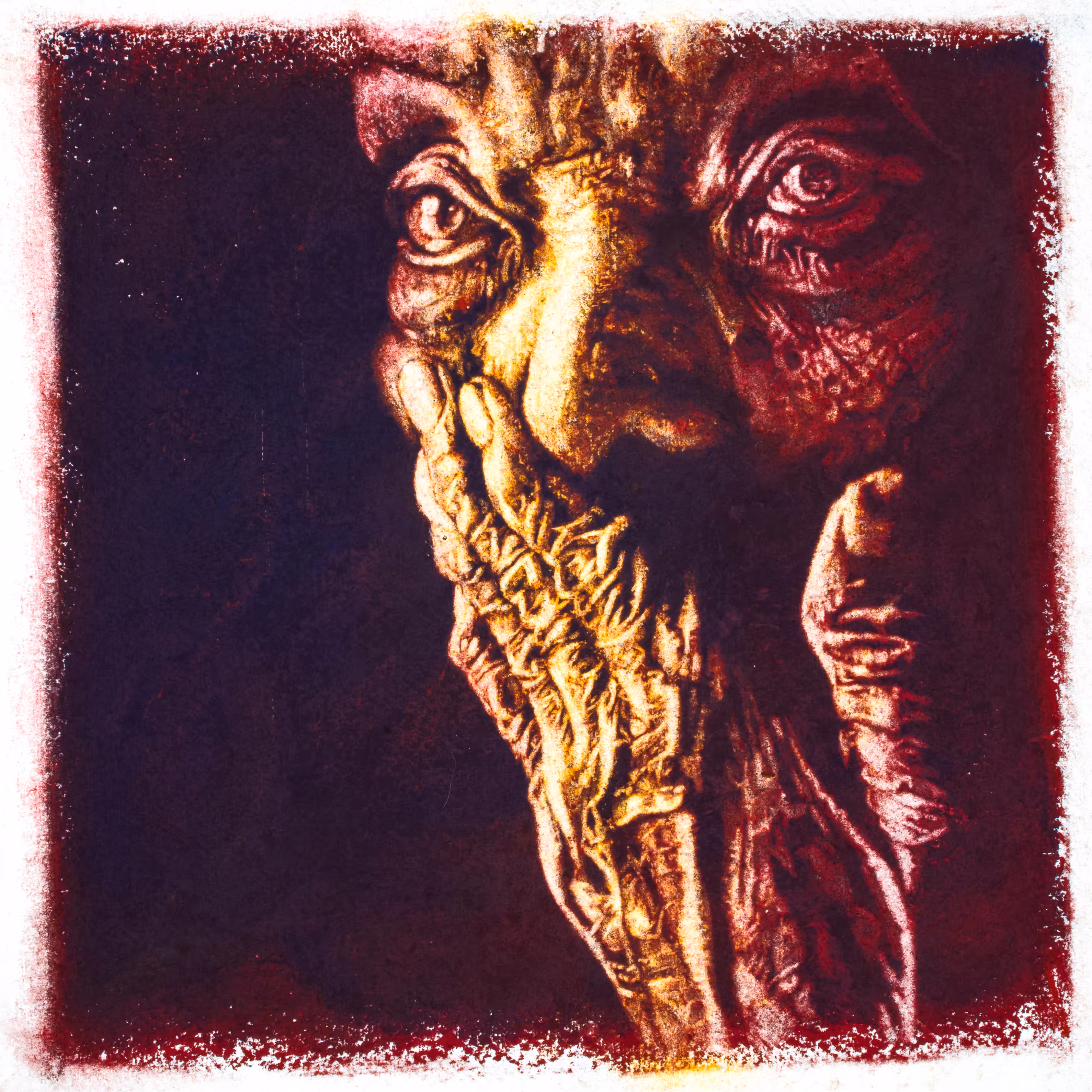 The Listener