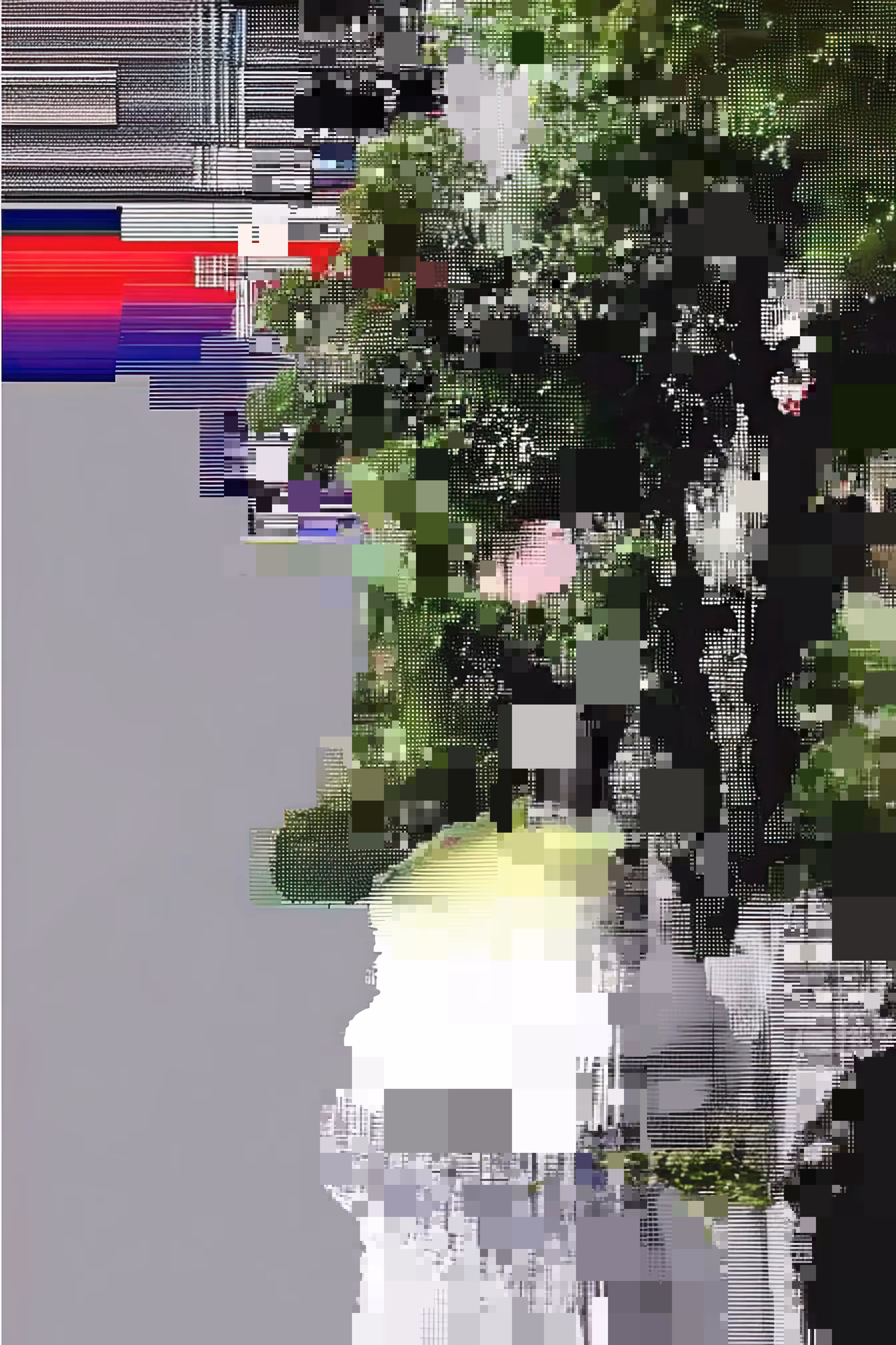 Synthetic Field [08]