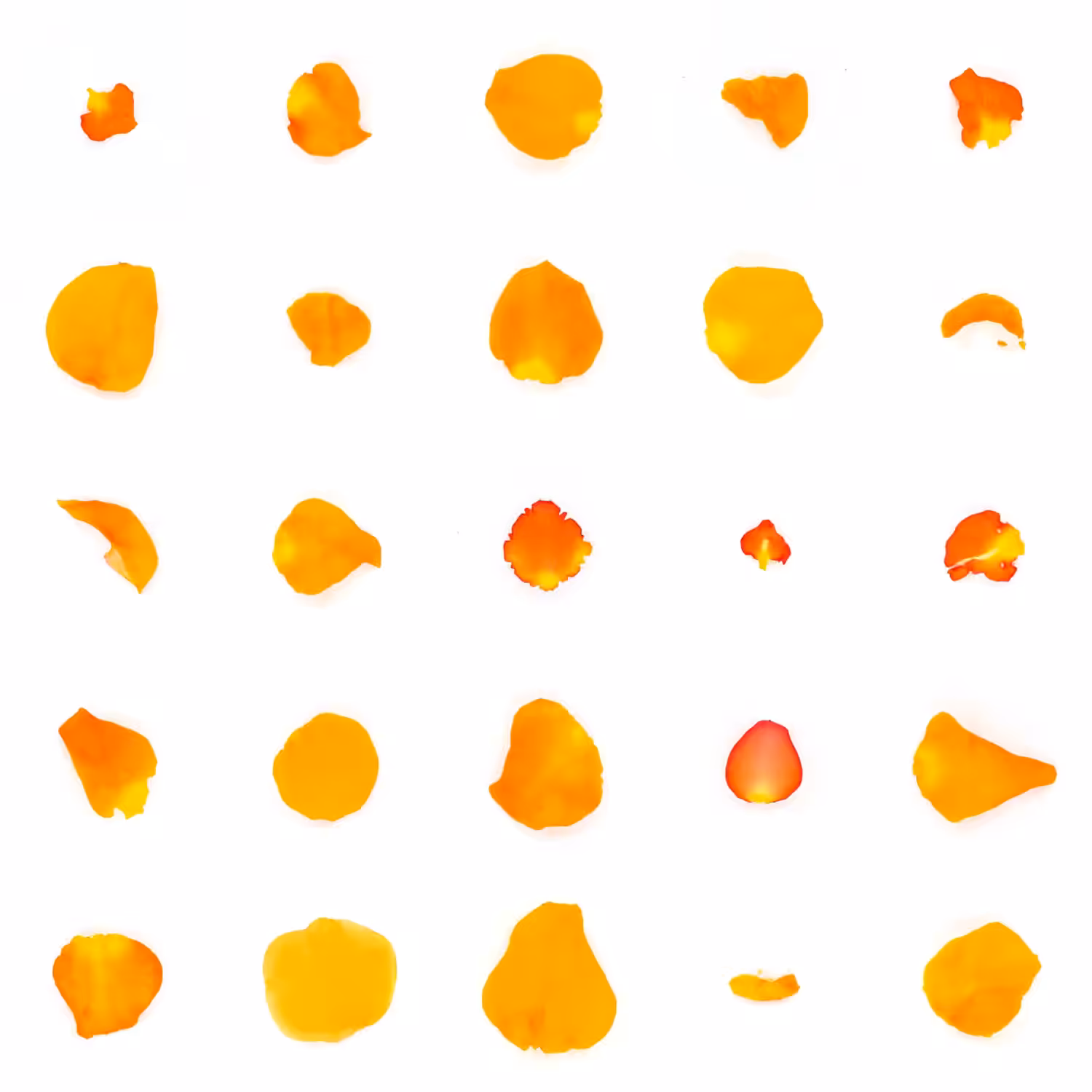 Infinite Petals 5x5#20588
