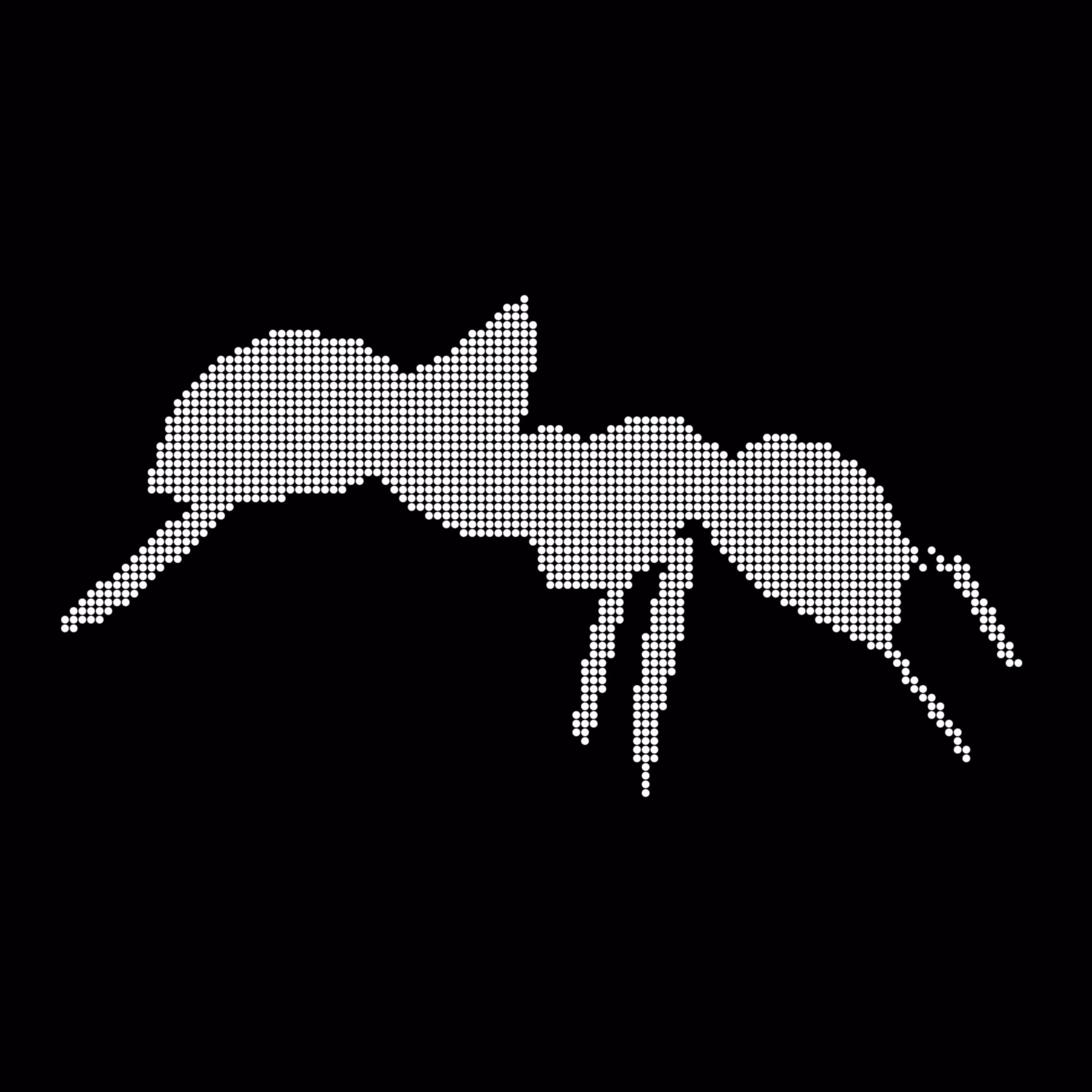 Caltech Studies (Braille): Ant 35