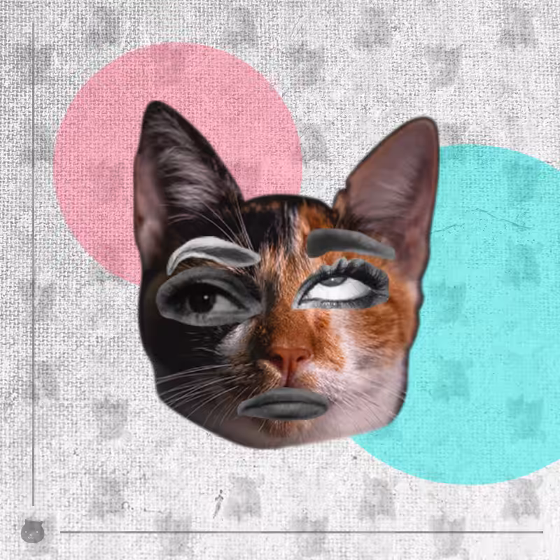 Kittenstein #18