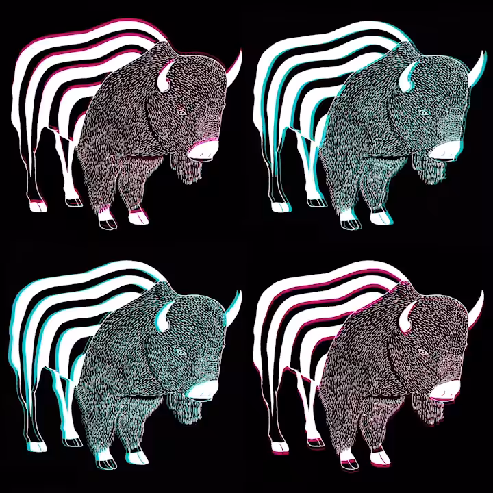 POP ED. BISON