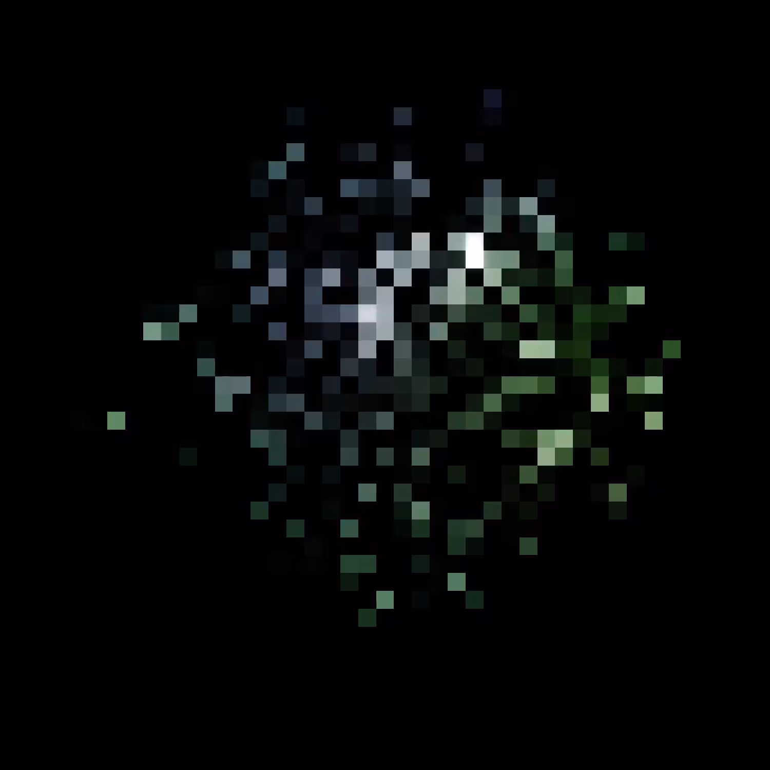 Rodeo posts: Twinkling