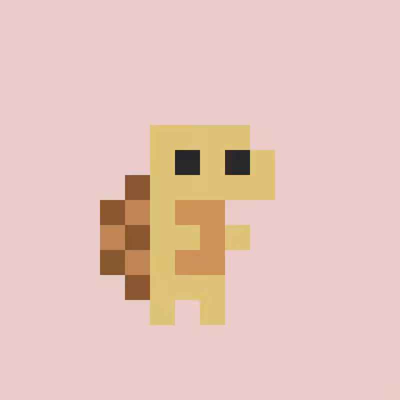 Tiny tortoises. #207