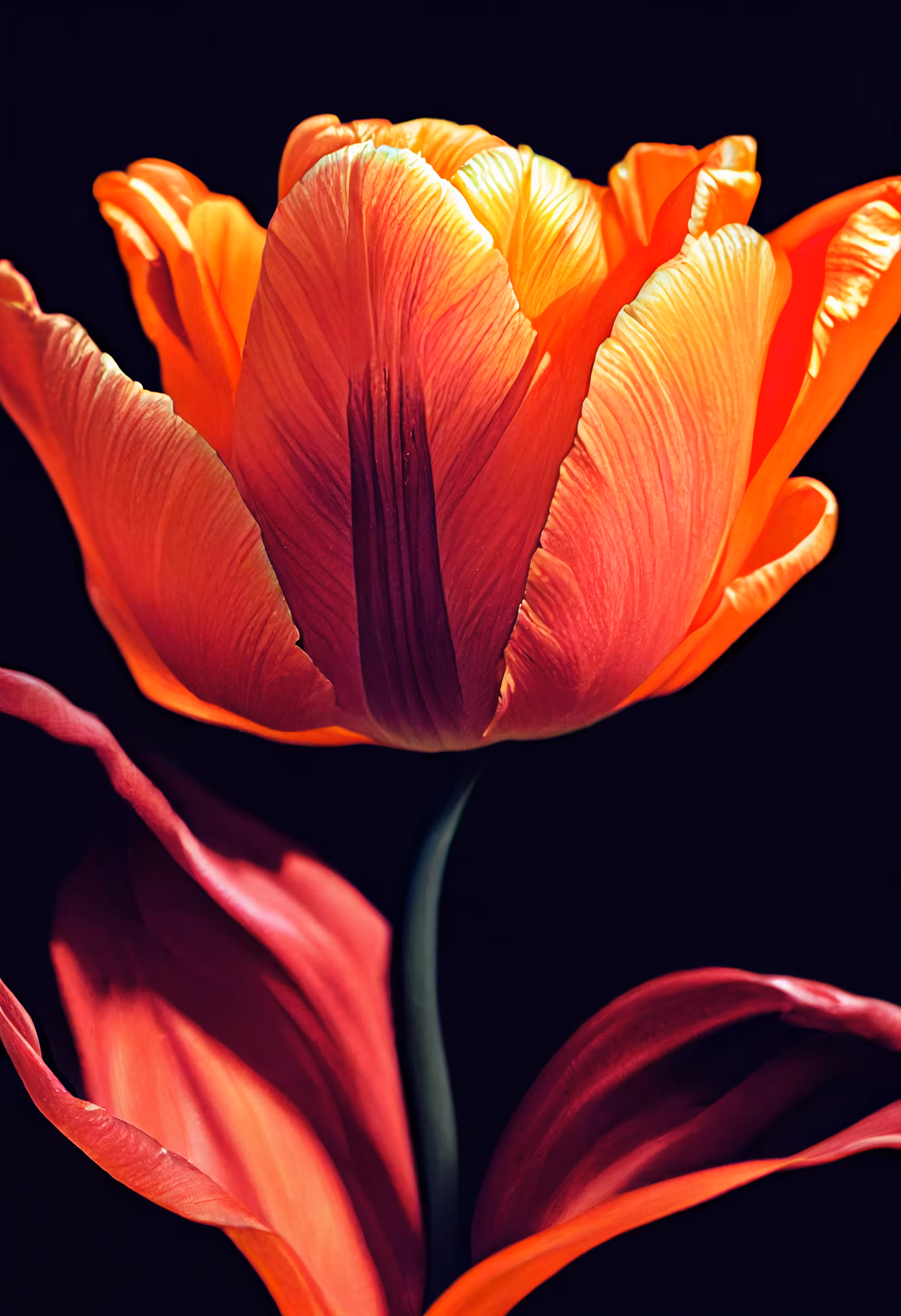 A Flower, Just For You. #32