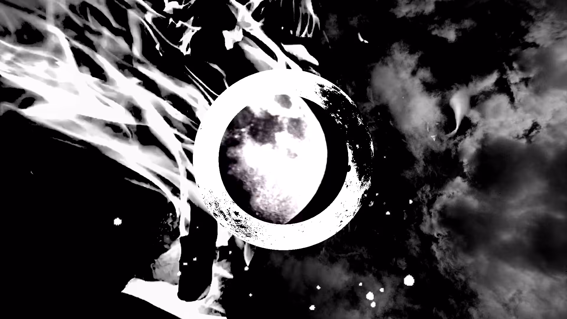 Miss The Moon