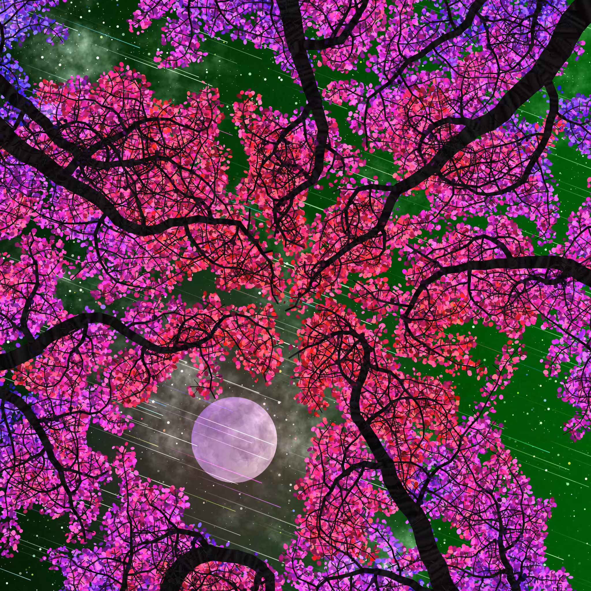 Tree Skyness #80