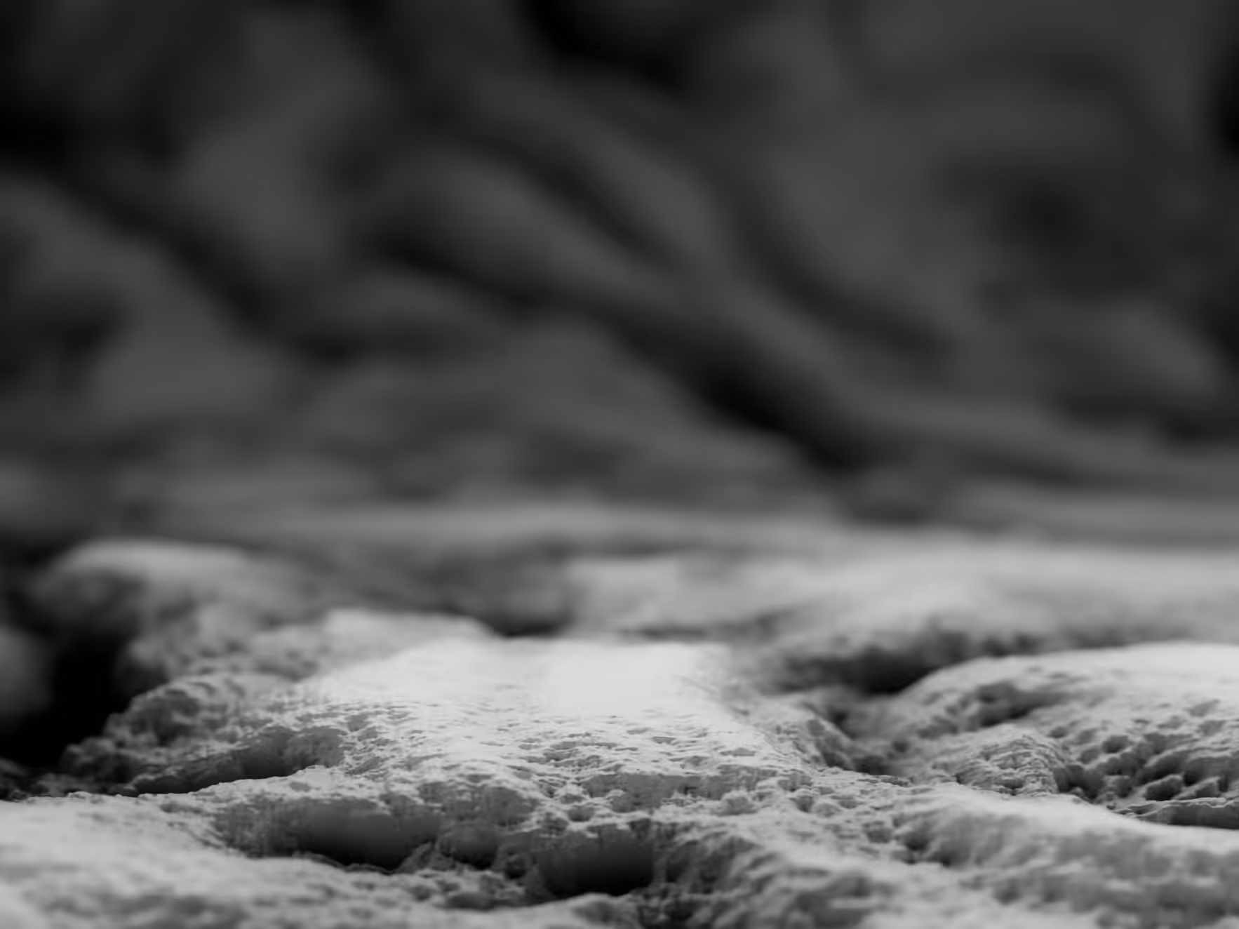 PHYSARUM LANDSCAPE #14