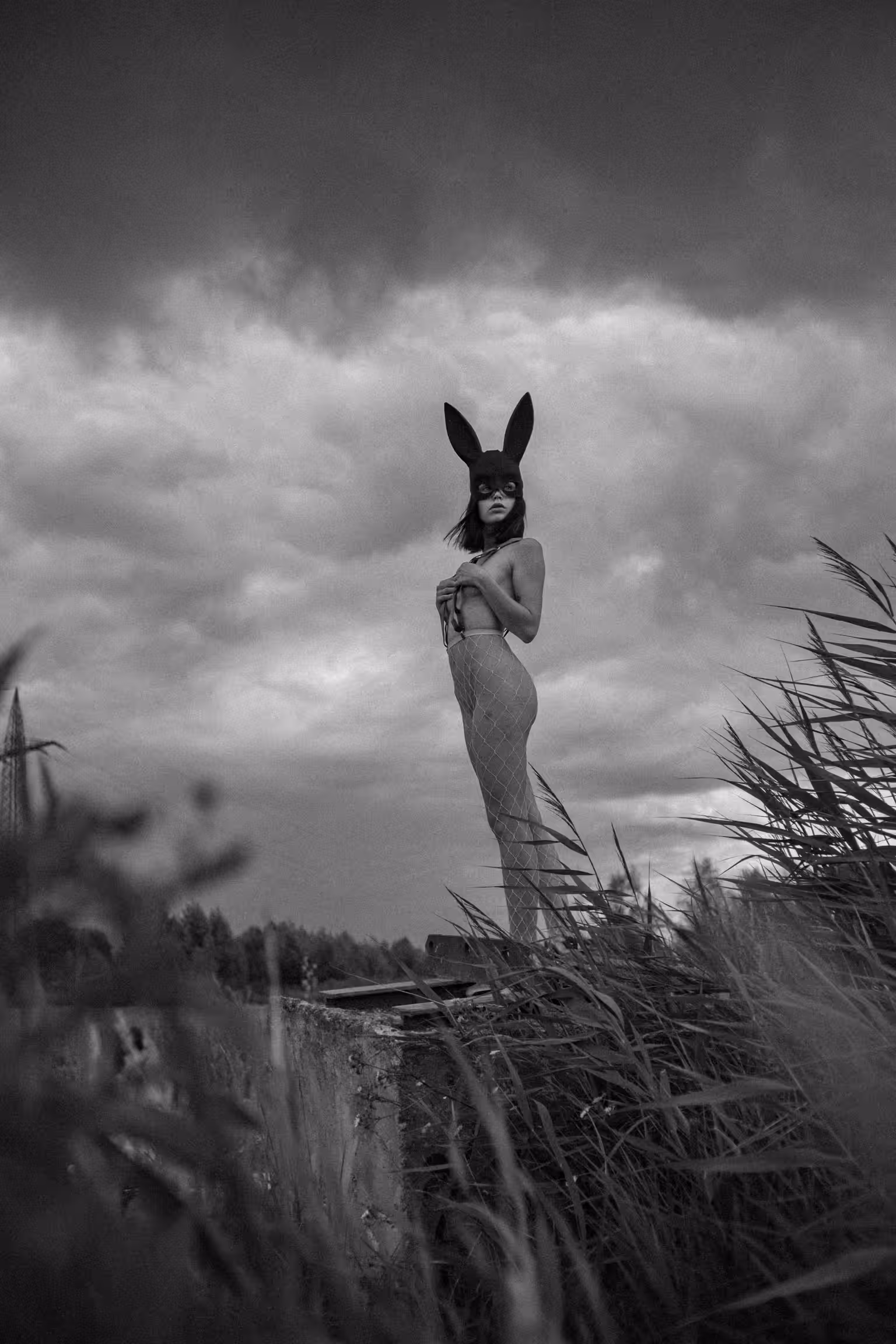 Bunny 🐰 noir 