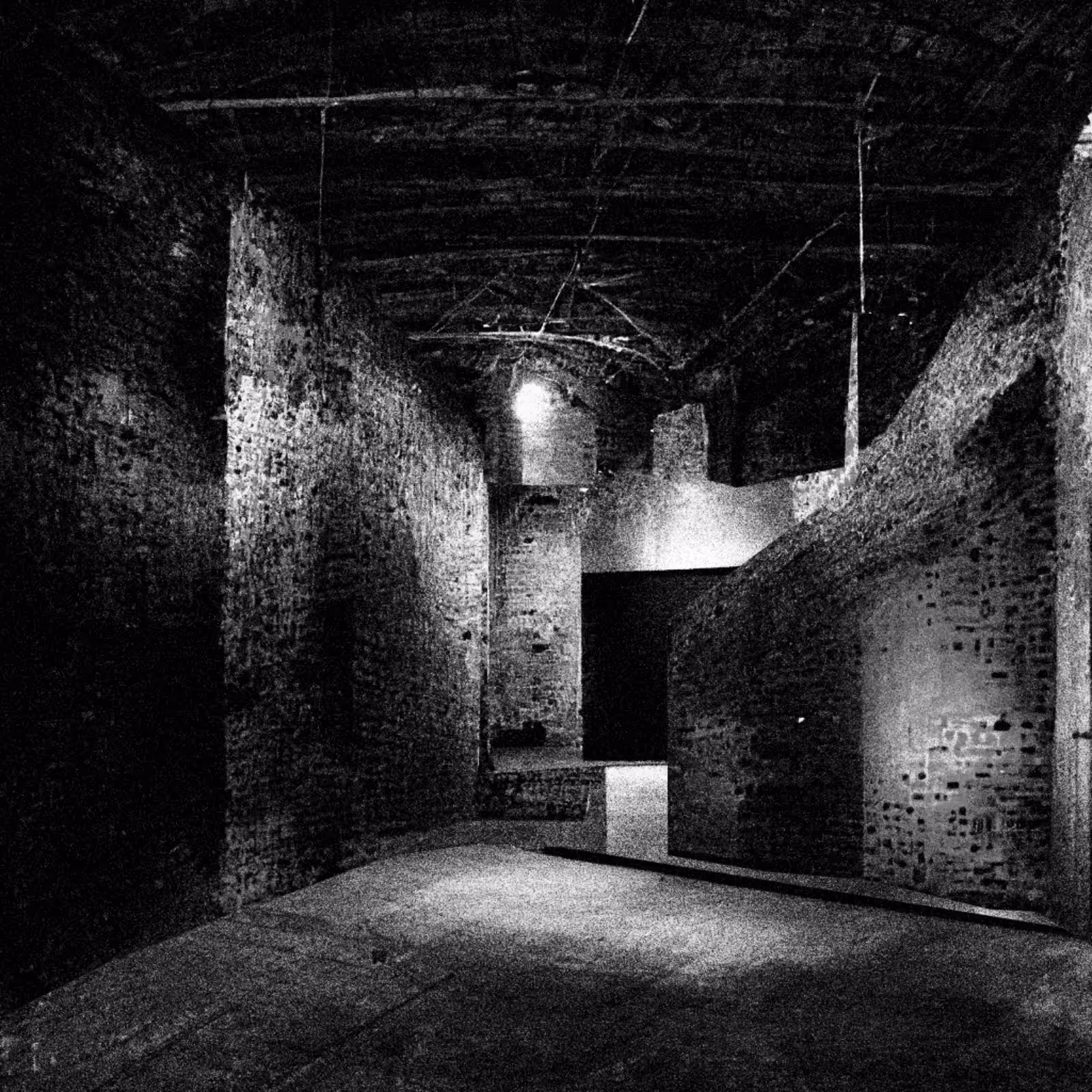 Liminal Newberry #78