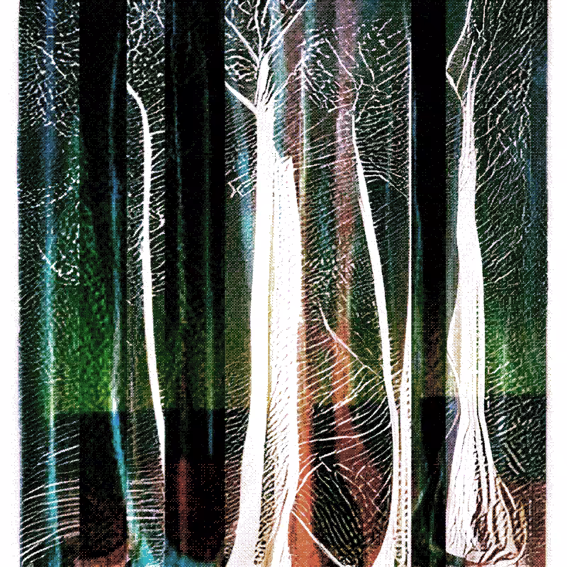The Hum of Cyber Forest #209