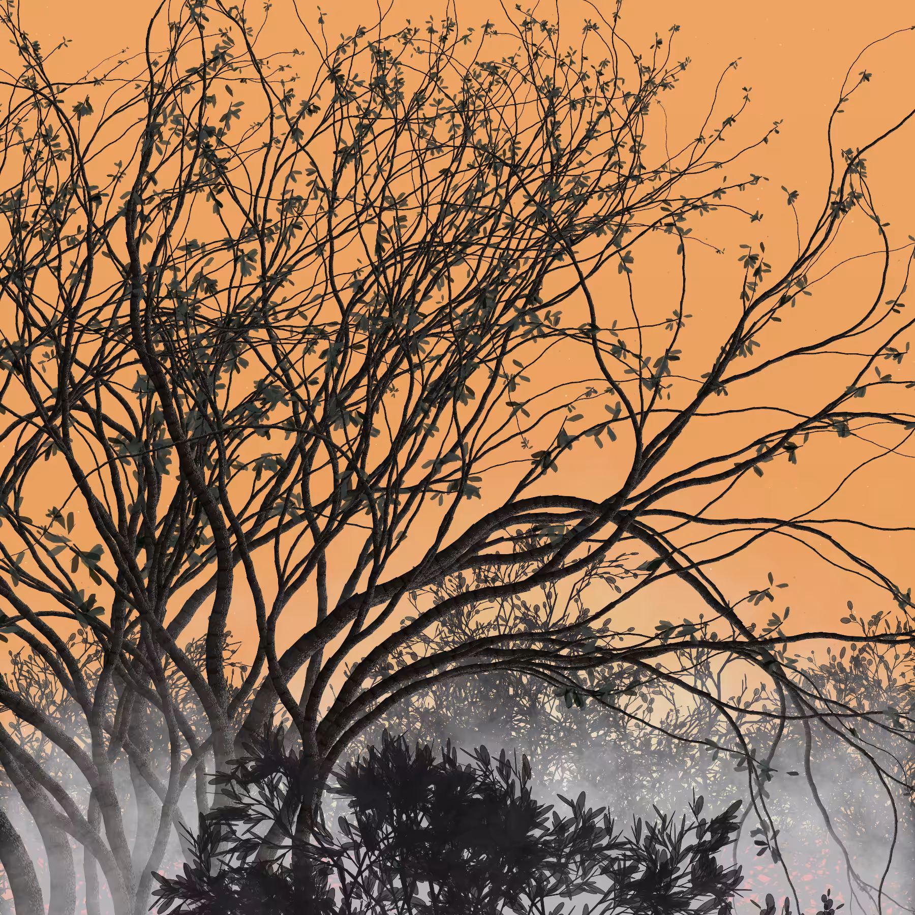 Morning Mist #15