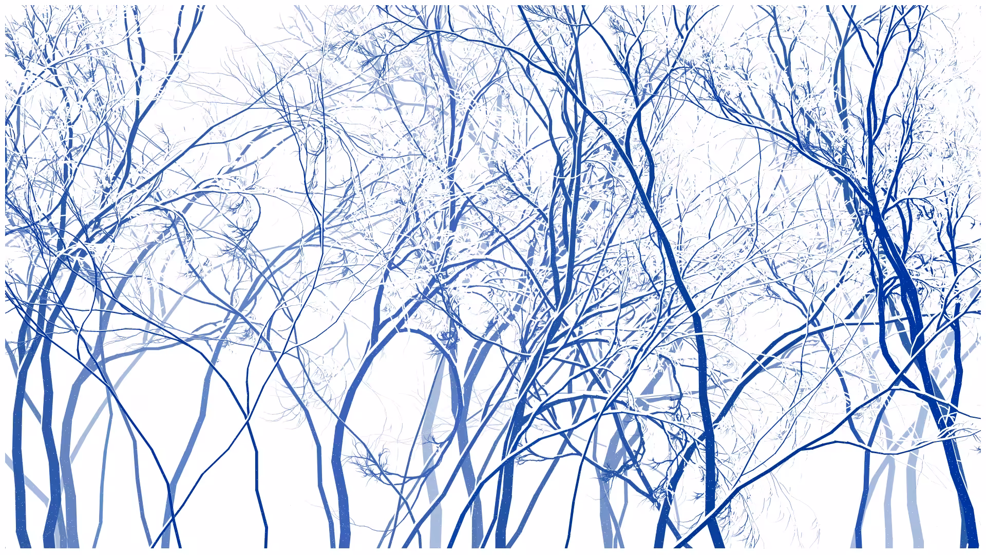 SCHNEEWALD #98