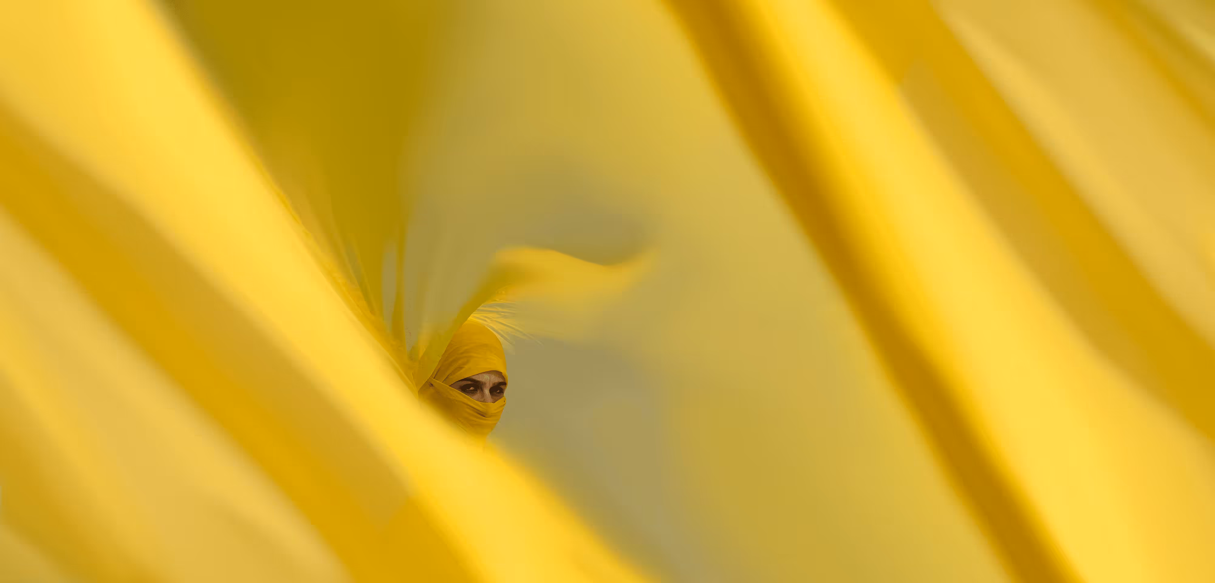 Angry Birdy