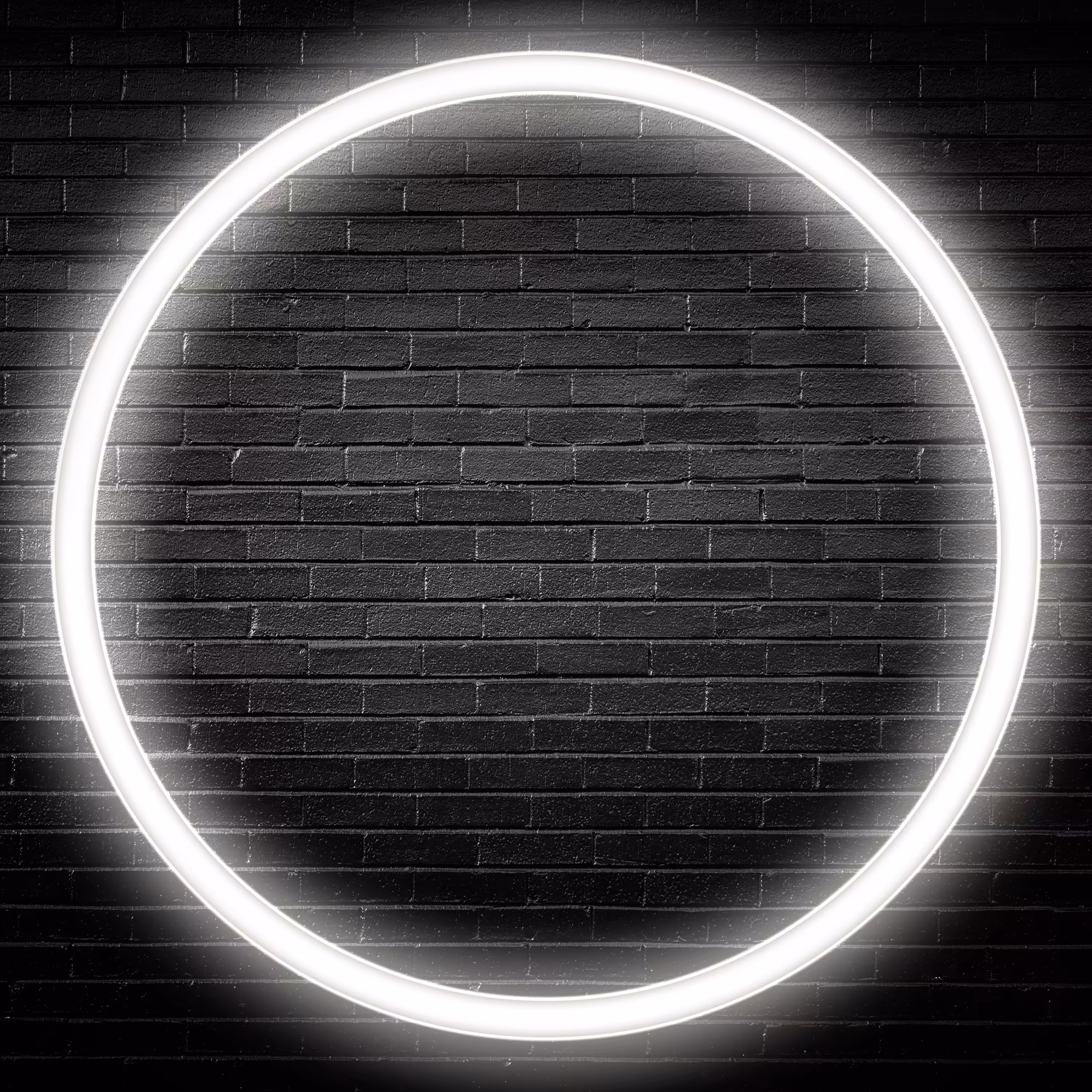Inner Circle PFPs - Neon White