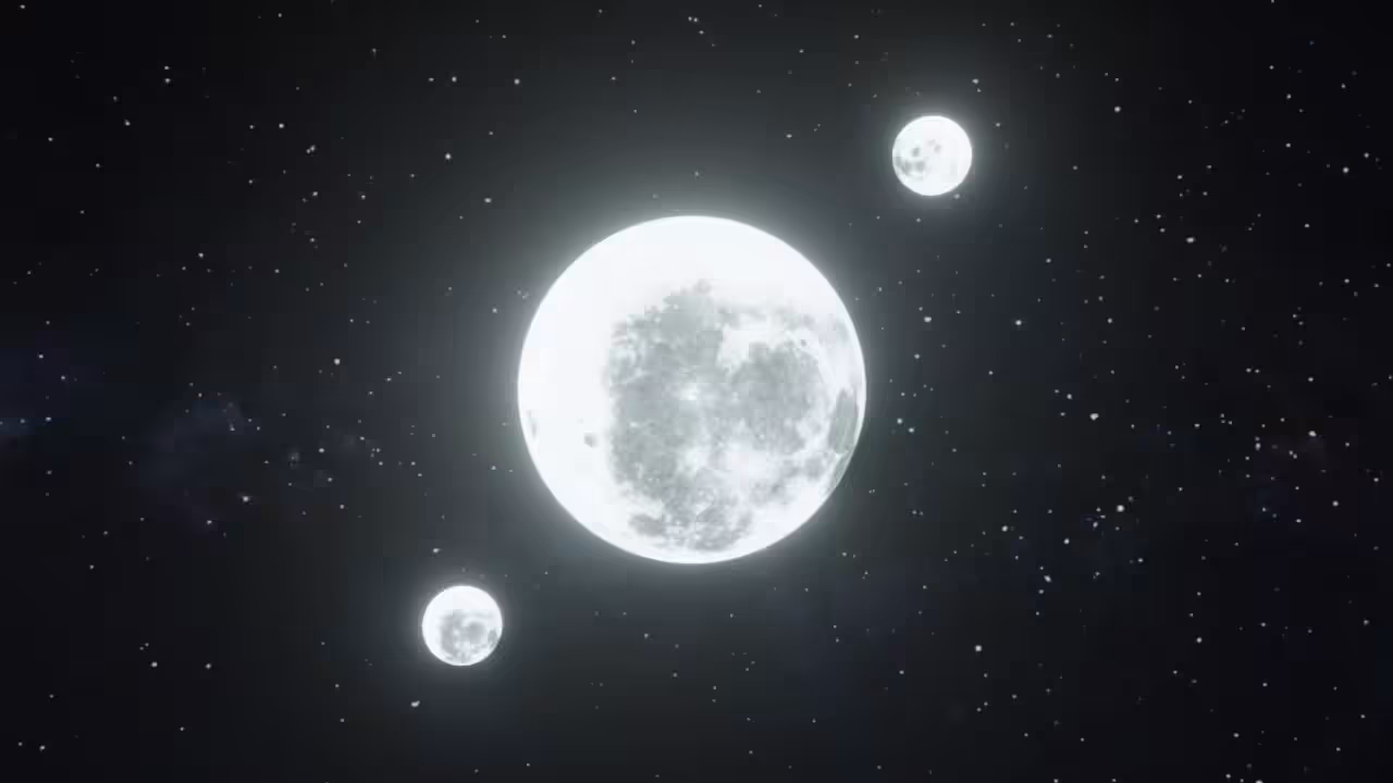 GN 2021