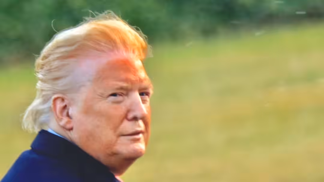 Donny's 'Do