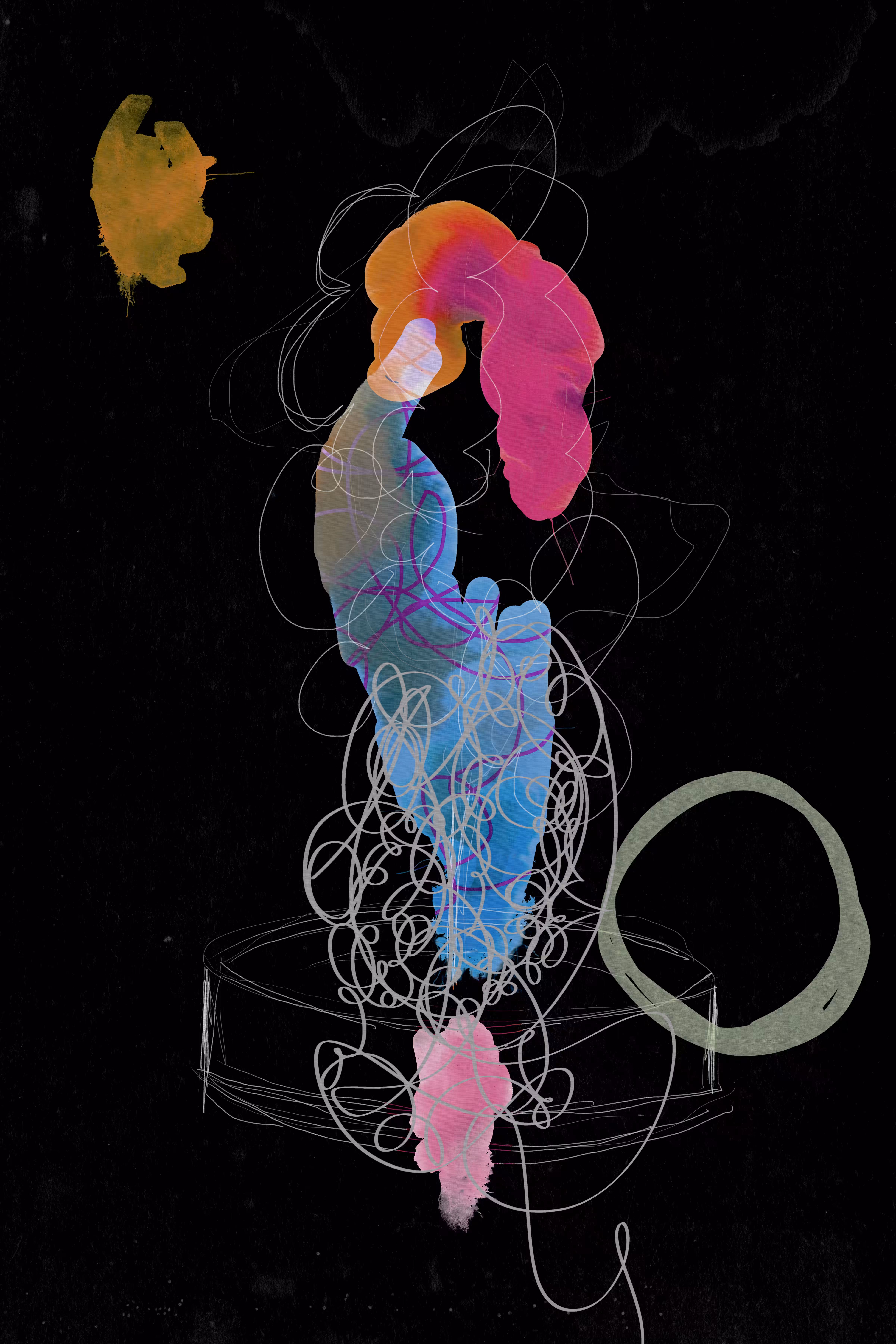 The Contortionist