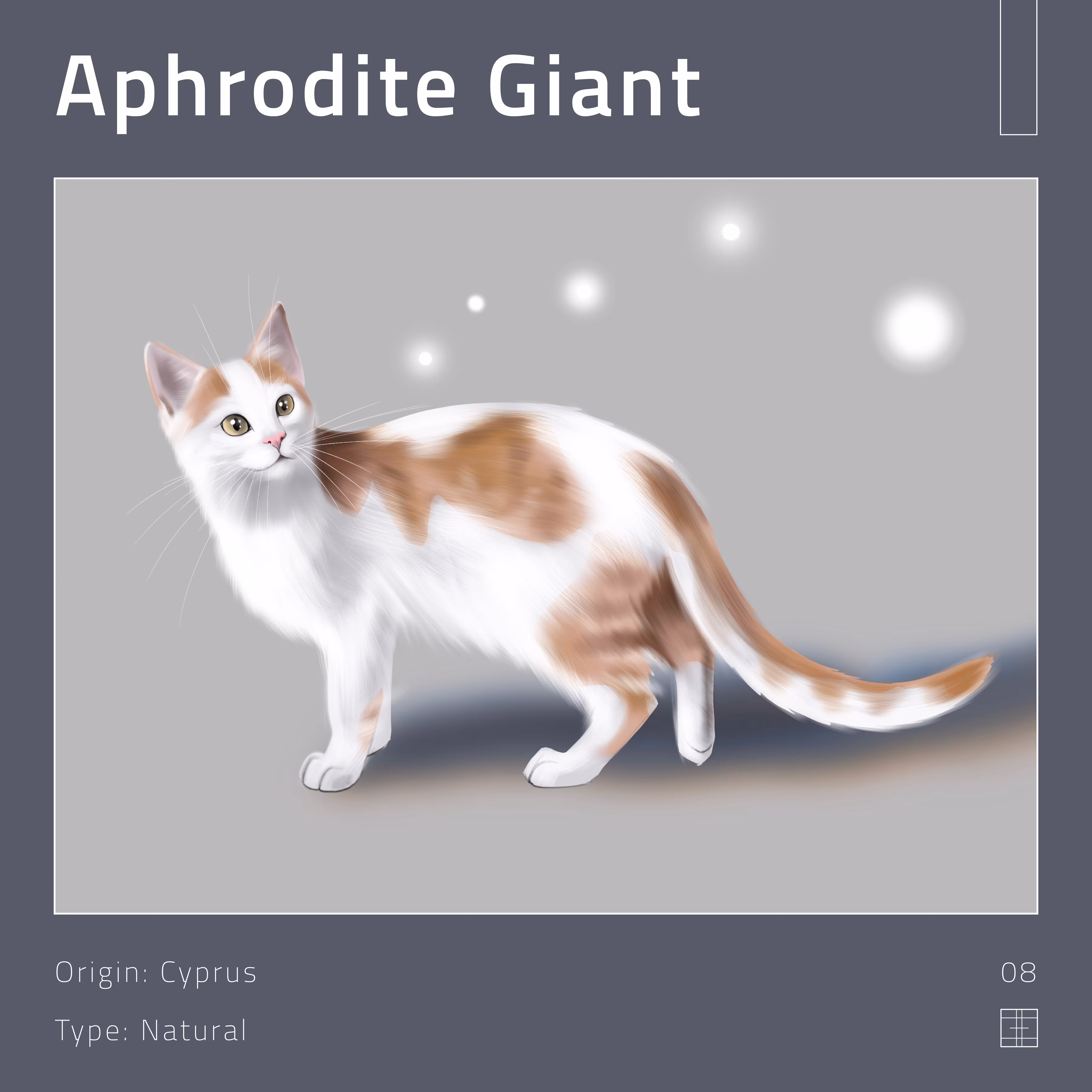 08 – Aphrodite Giant cat