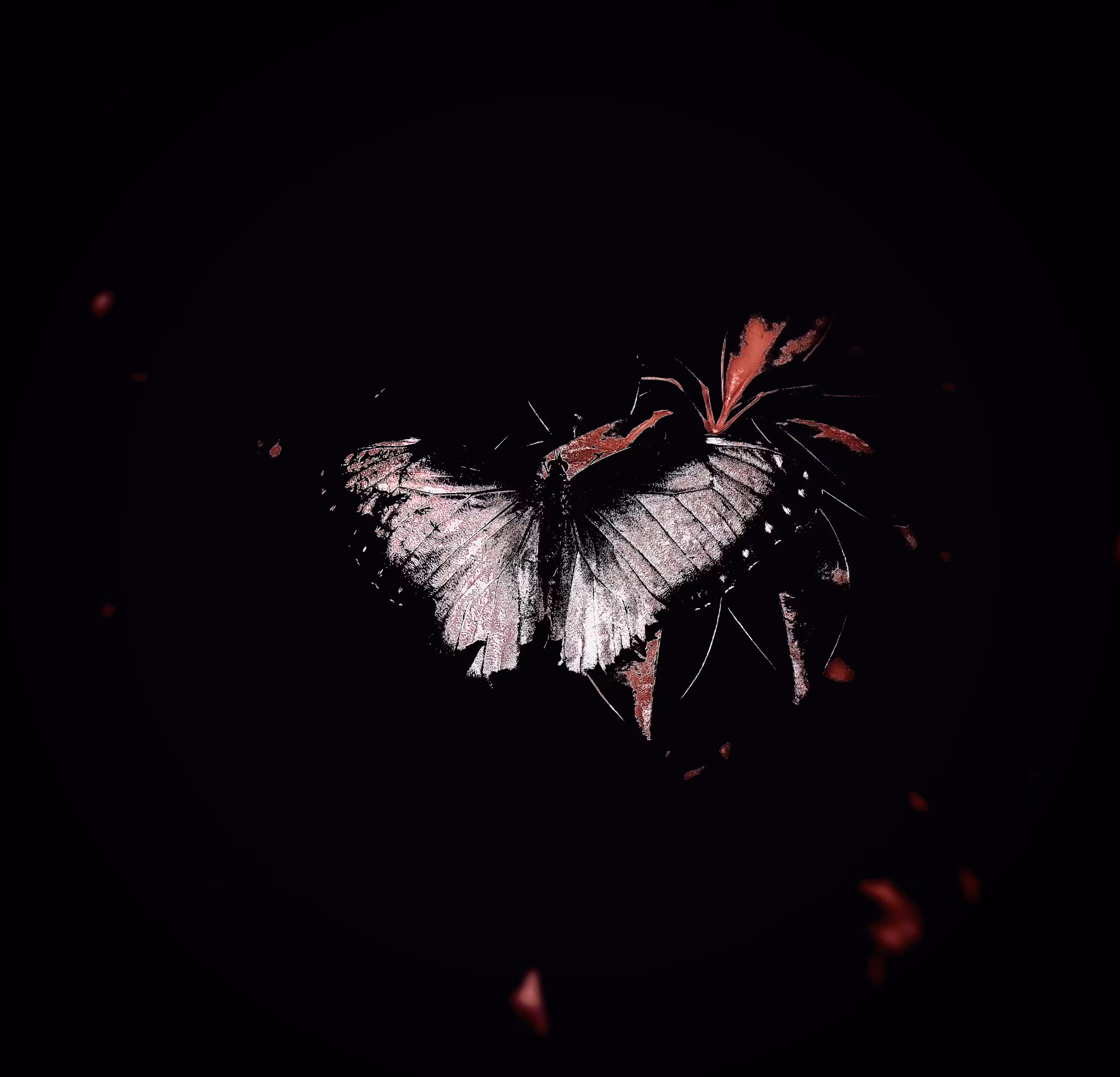 lost my colour
